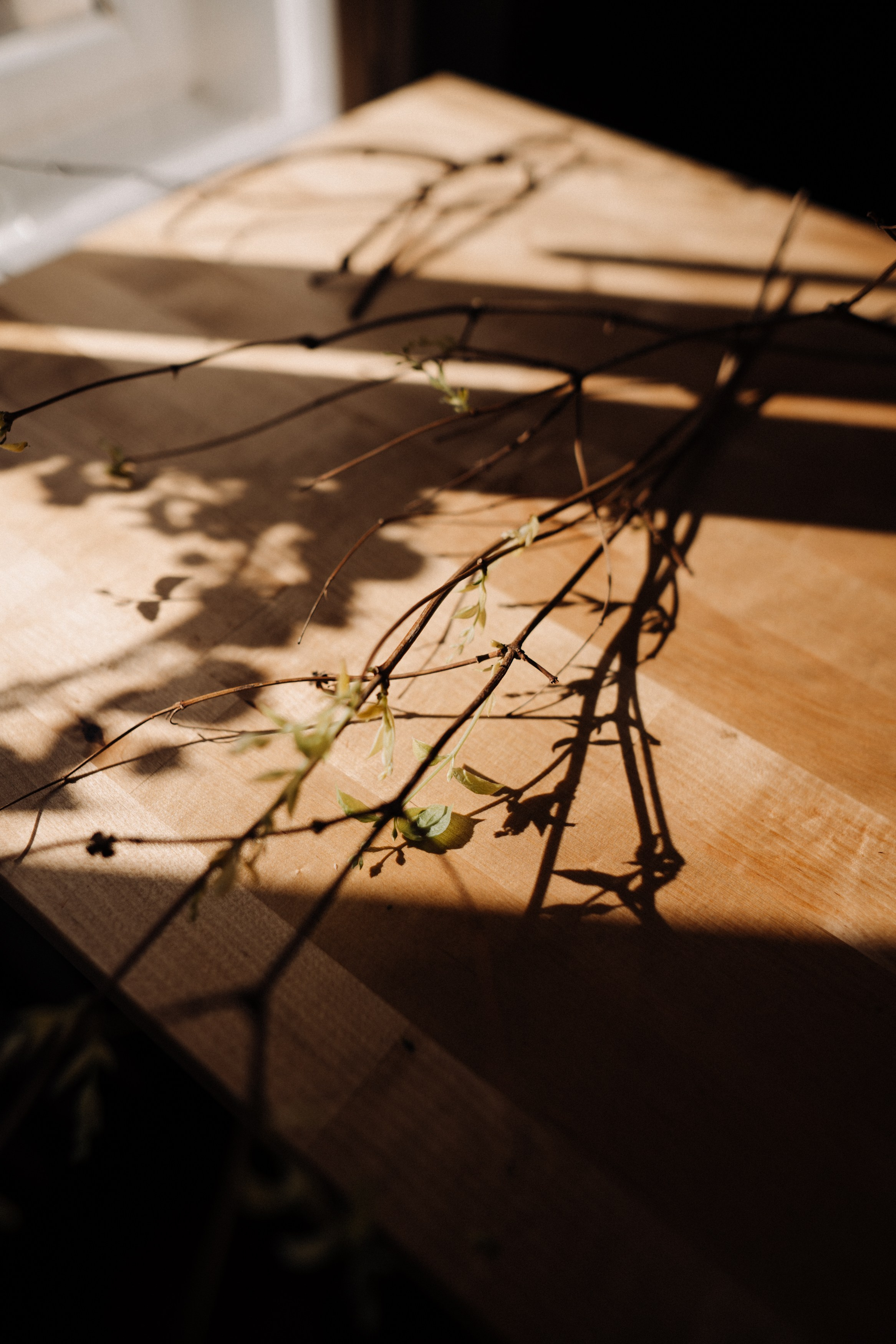 Elena. Фотограф в Праге Анна Лебедева