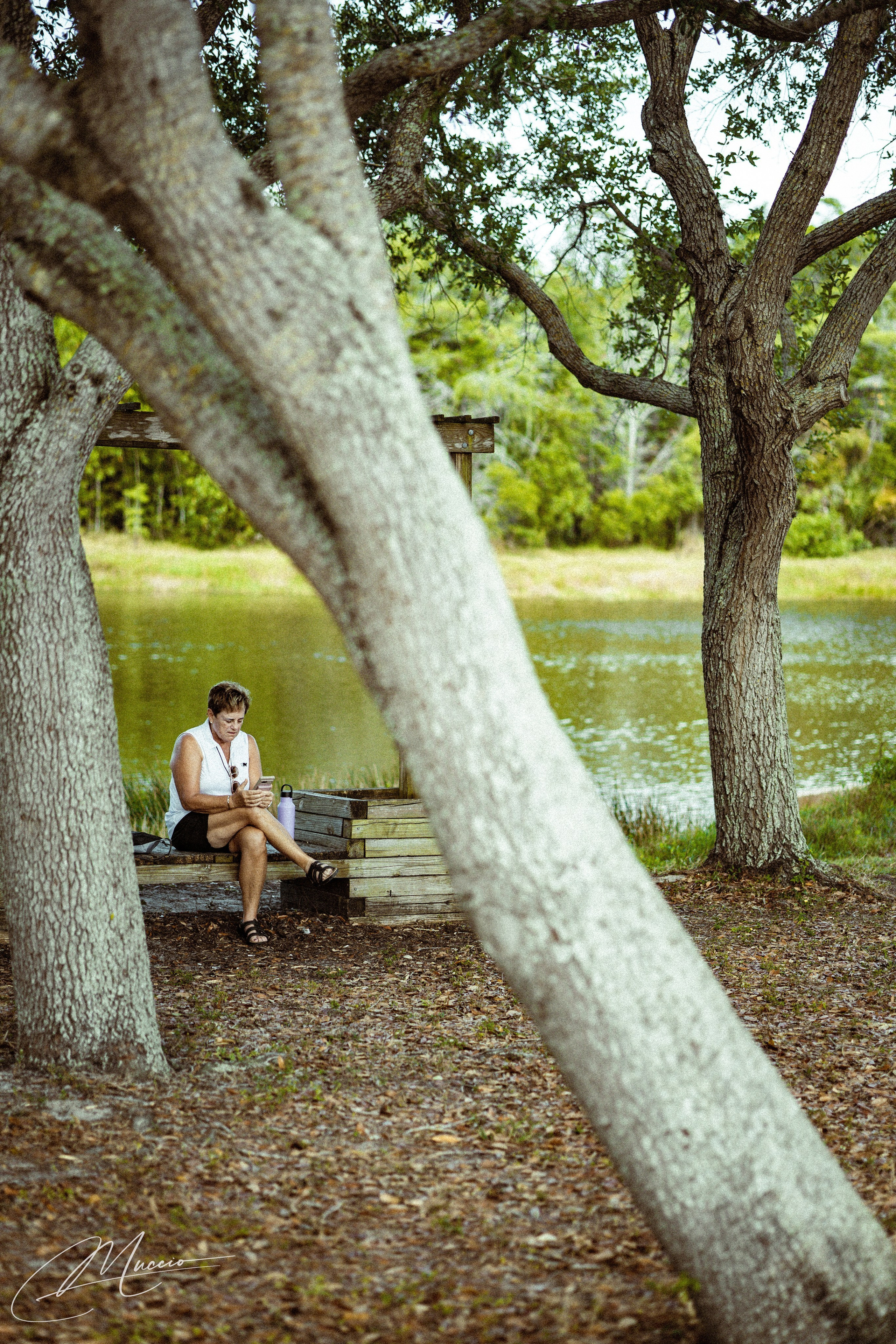 Summer 2025 Series. Out and About 239