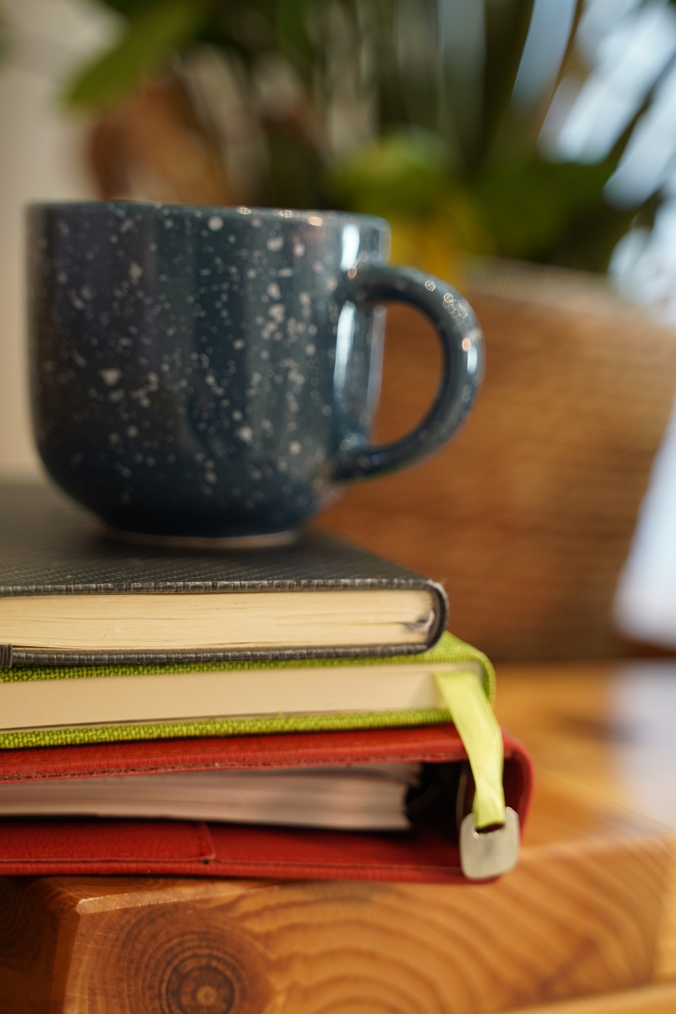 Три образа. Фотограф. Визуал. Хайфа. Талья Цветкова