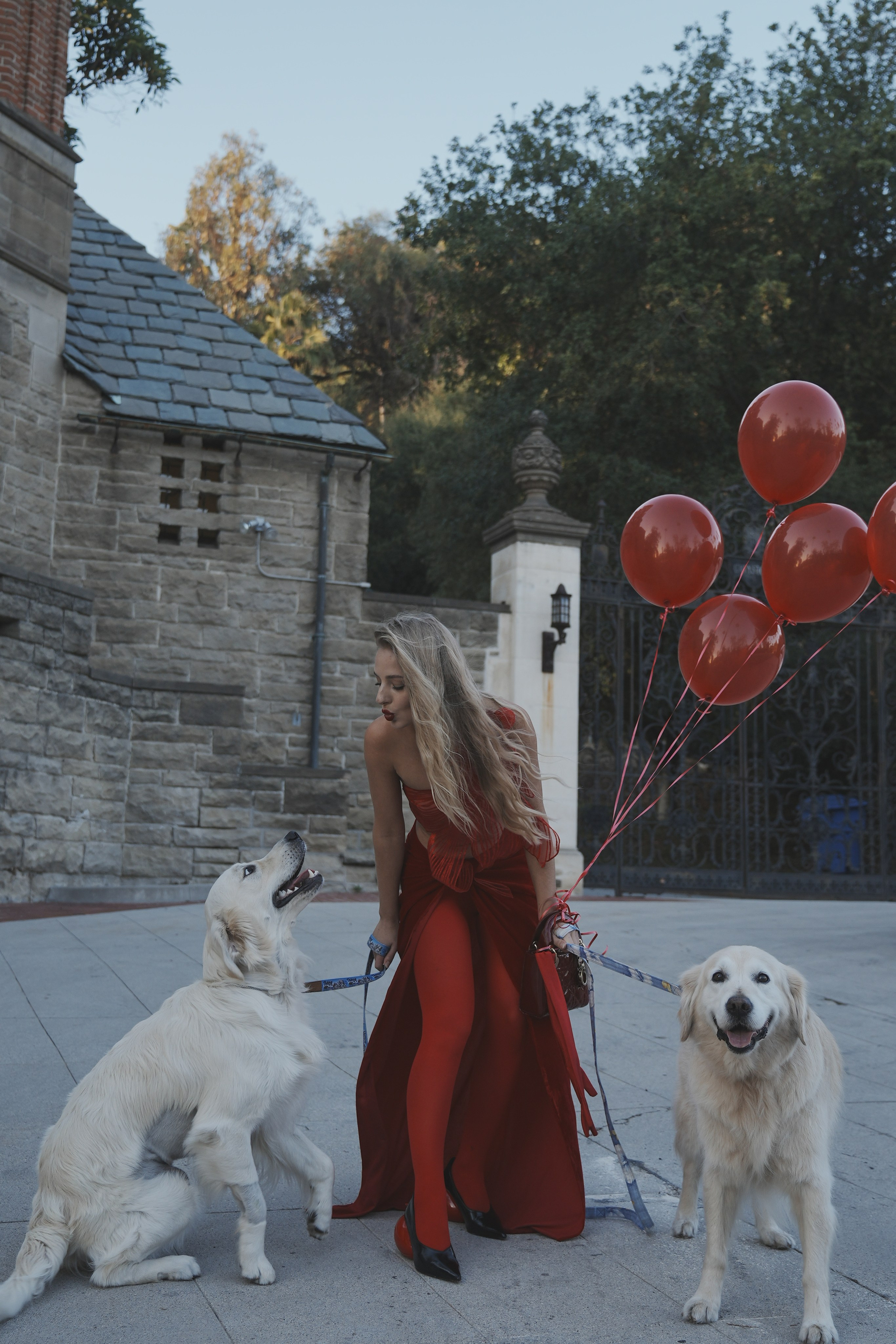 Queen of hearts (CA). Photographer New York / Los Angeles