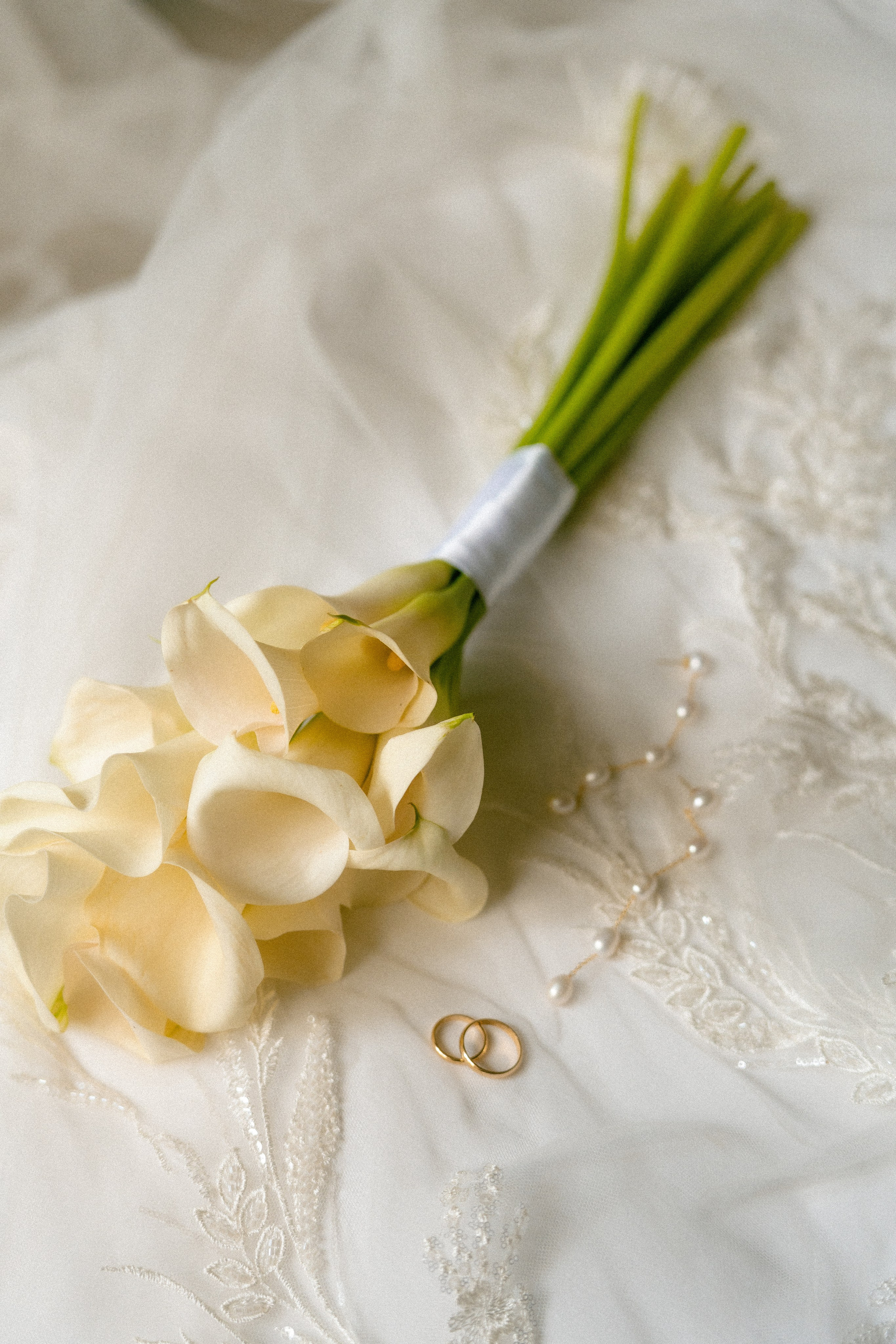 Luis & Sara · Boda en Bodegas Sani Viña Extremeña, Almendralejo | Alianza Weddings