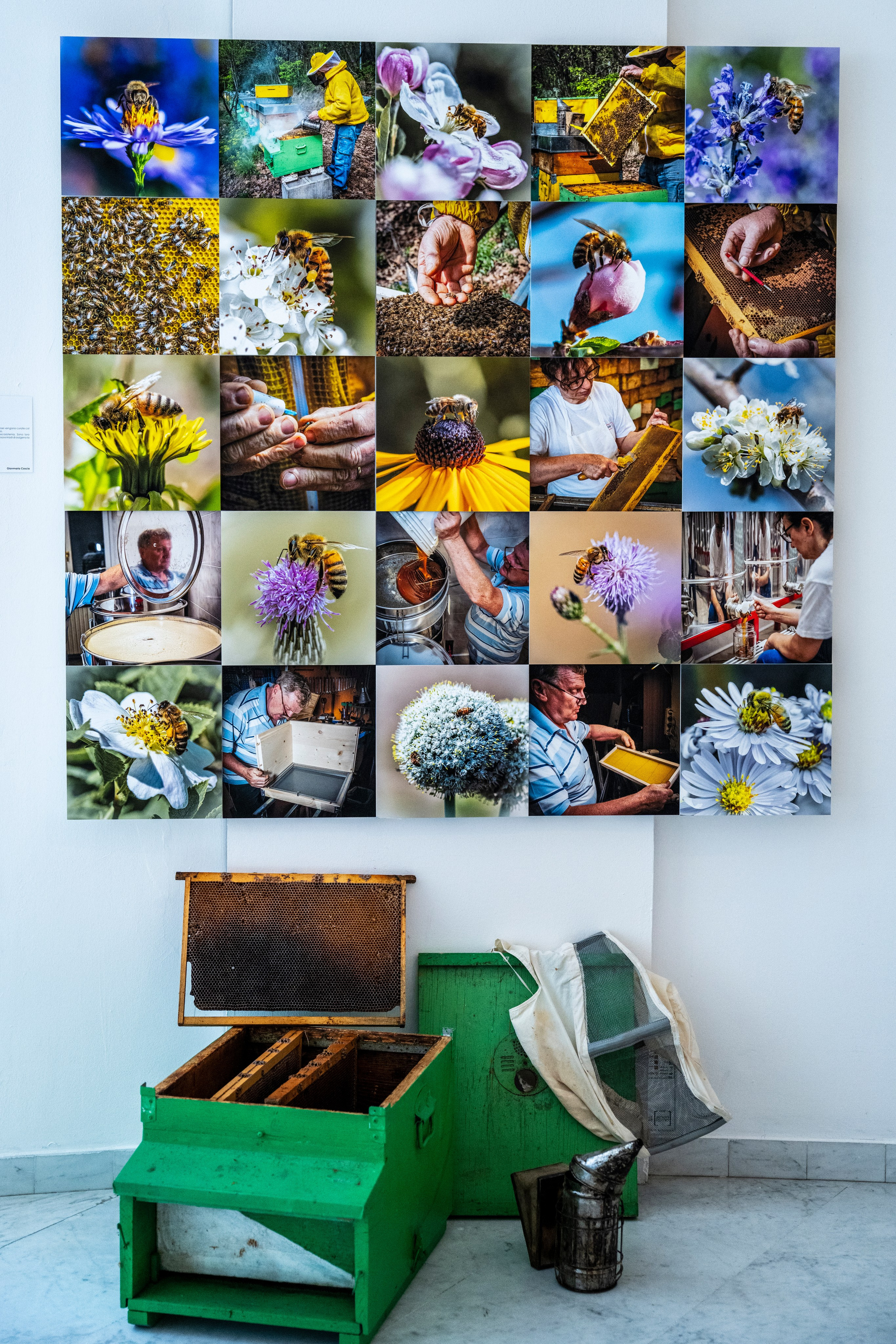 Mostra Gruppo Fotografico Albese 24. “Gianmaria Coscia fotografo per passione”