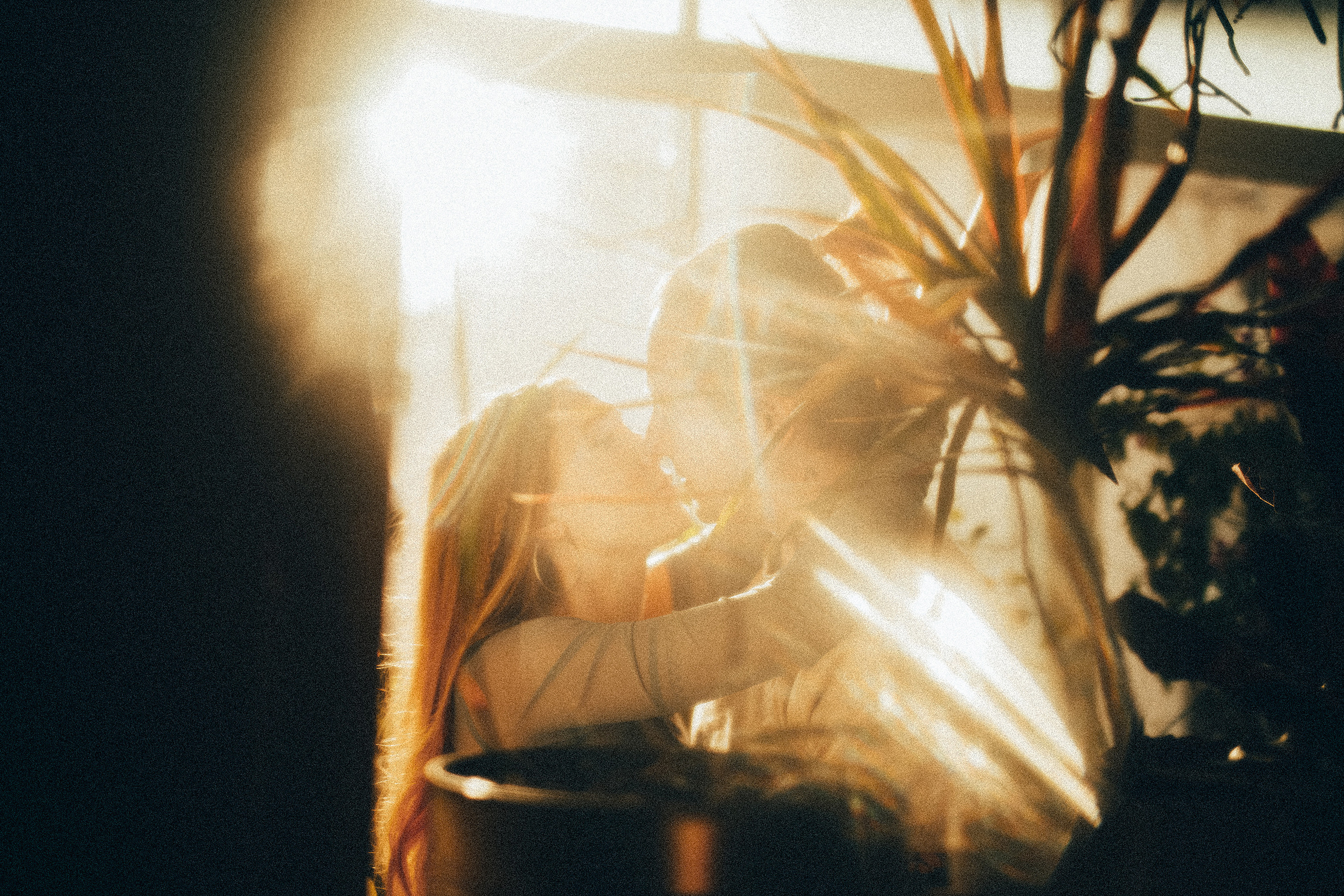 2 cats & 2 hearts. Wedding Photographer Tel-Aviv