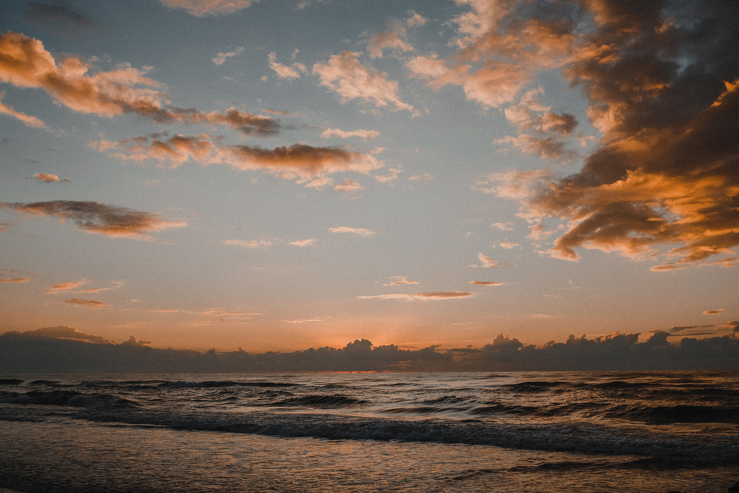 2 cats & 2 hearts. Wedding Photographer Tel-Aviv