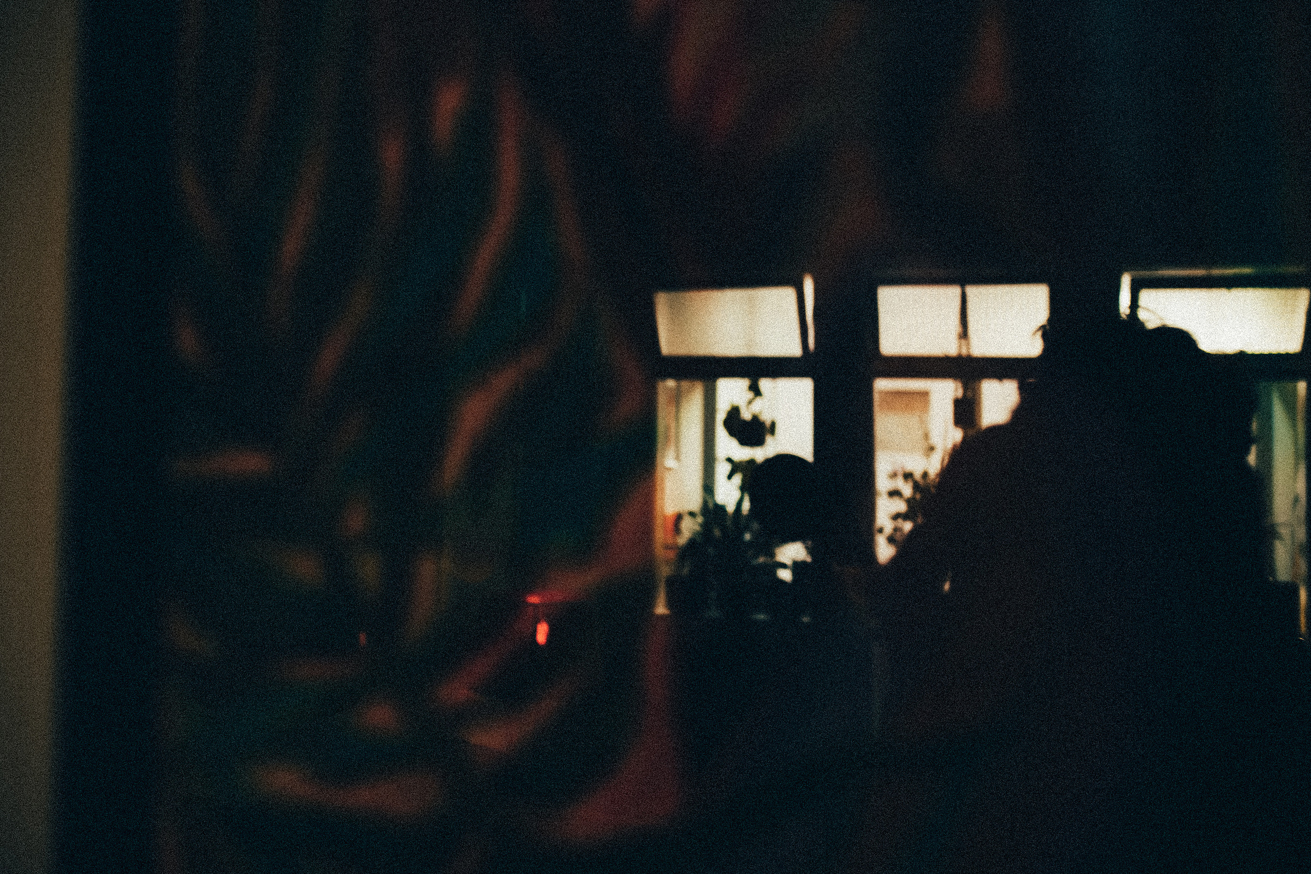 2 cats & 2 hearts. Wedding Photographer Tel-Aviv