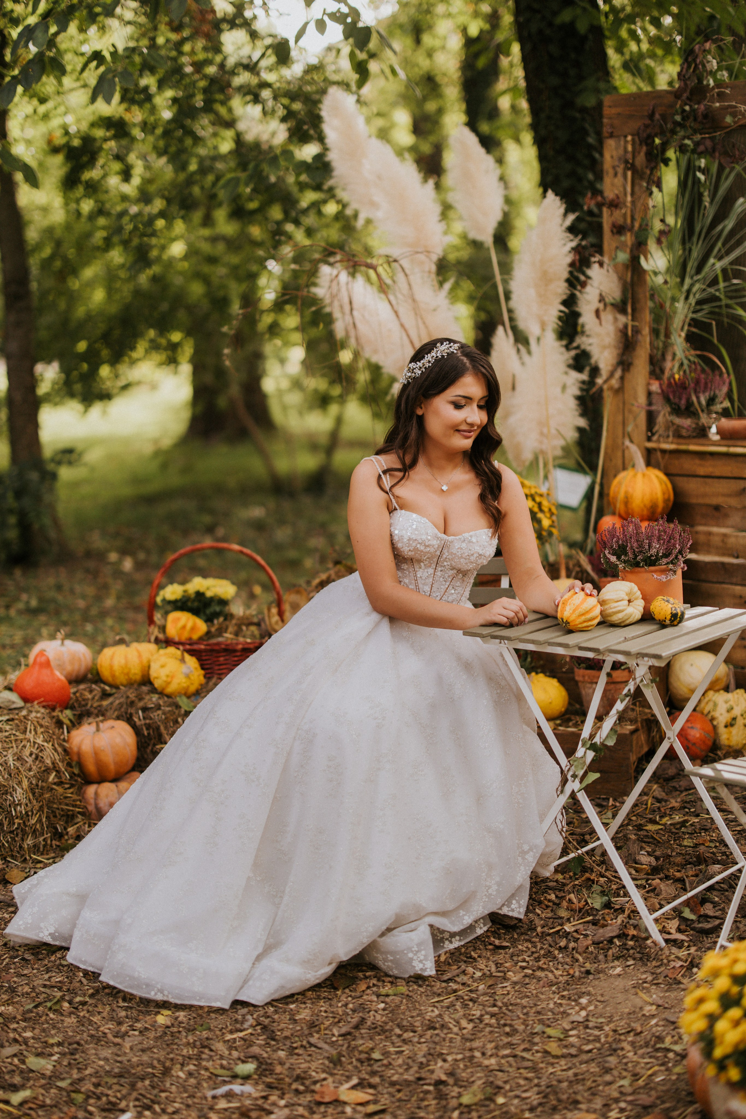 Photography. Alexandar weddings: Home