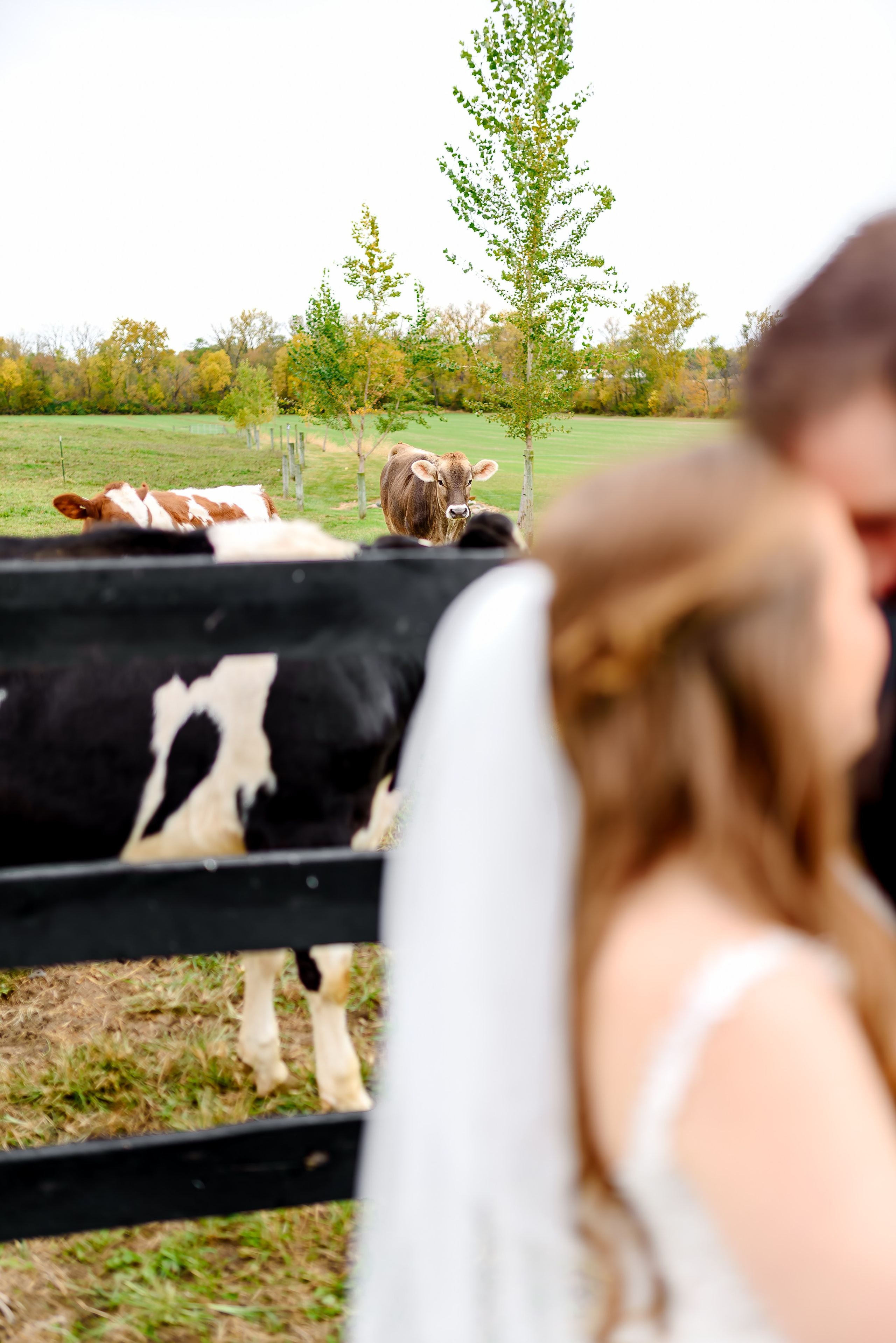 Alexandria Danielle Photography | Fort Wayne & Indianapolis Wedding Photographer