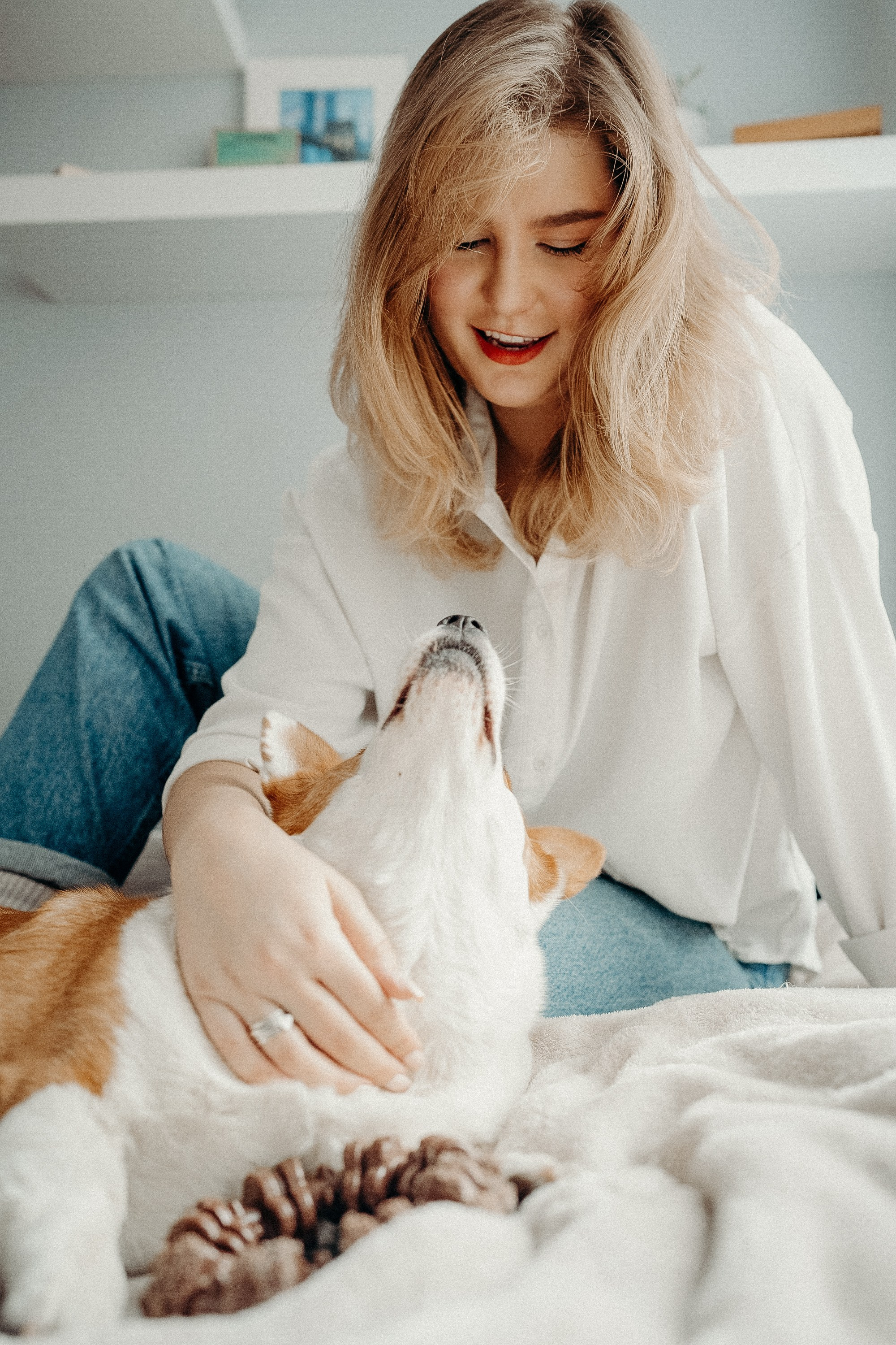 Photos of a little corgi and her owner. Portrait and wedding photographer in New York