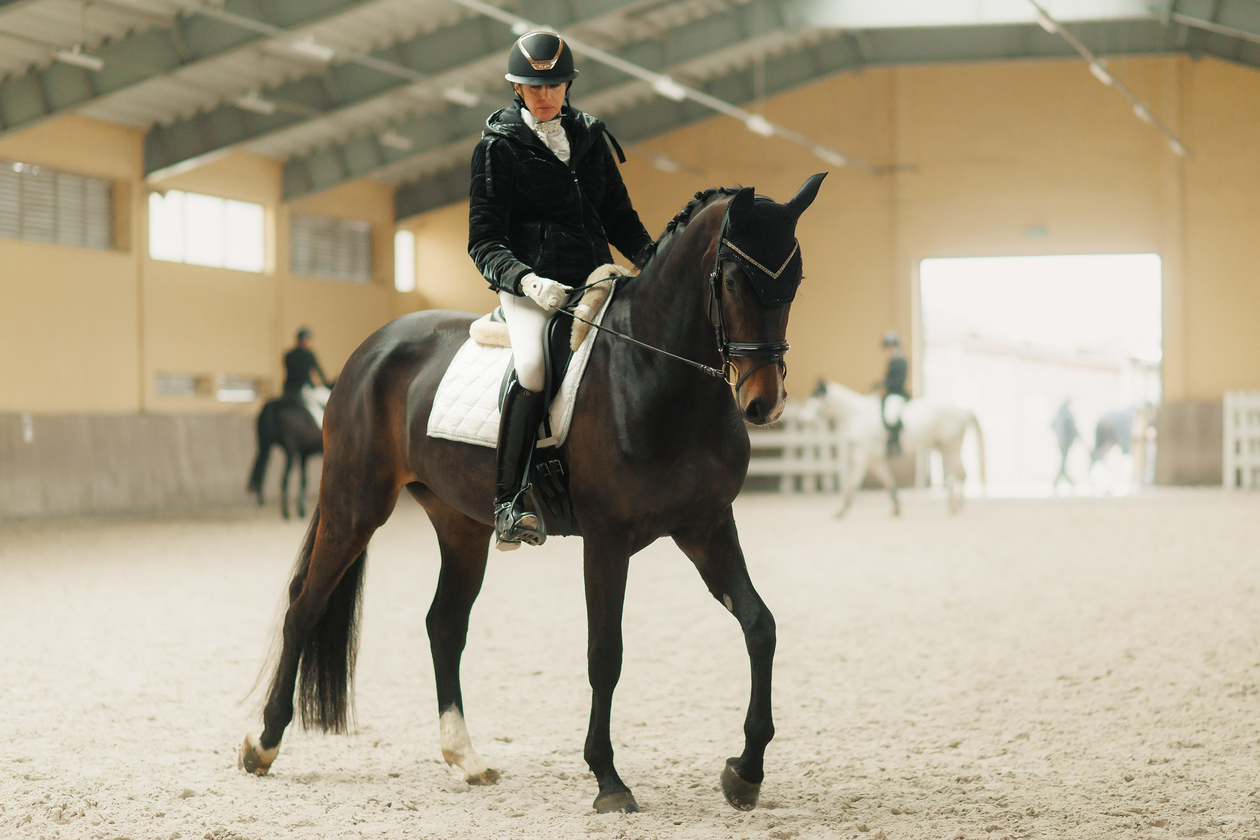 Fotografia koni Wrocław \ ujeżdżenie, Partynice. Kaja | fotograf we Wrocławiu | ludzie i psy