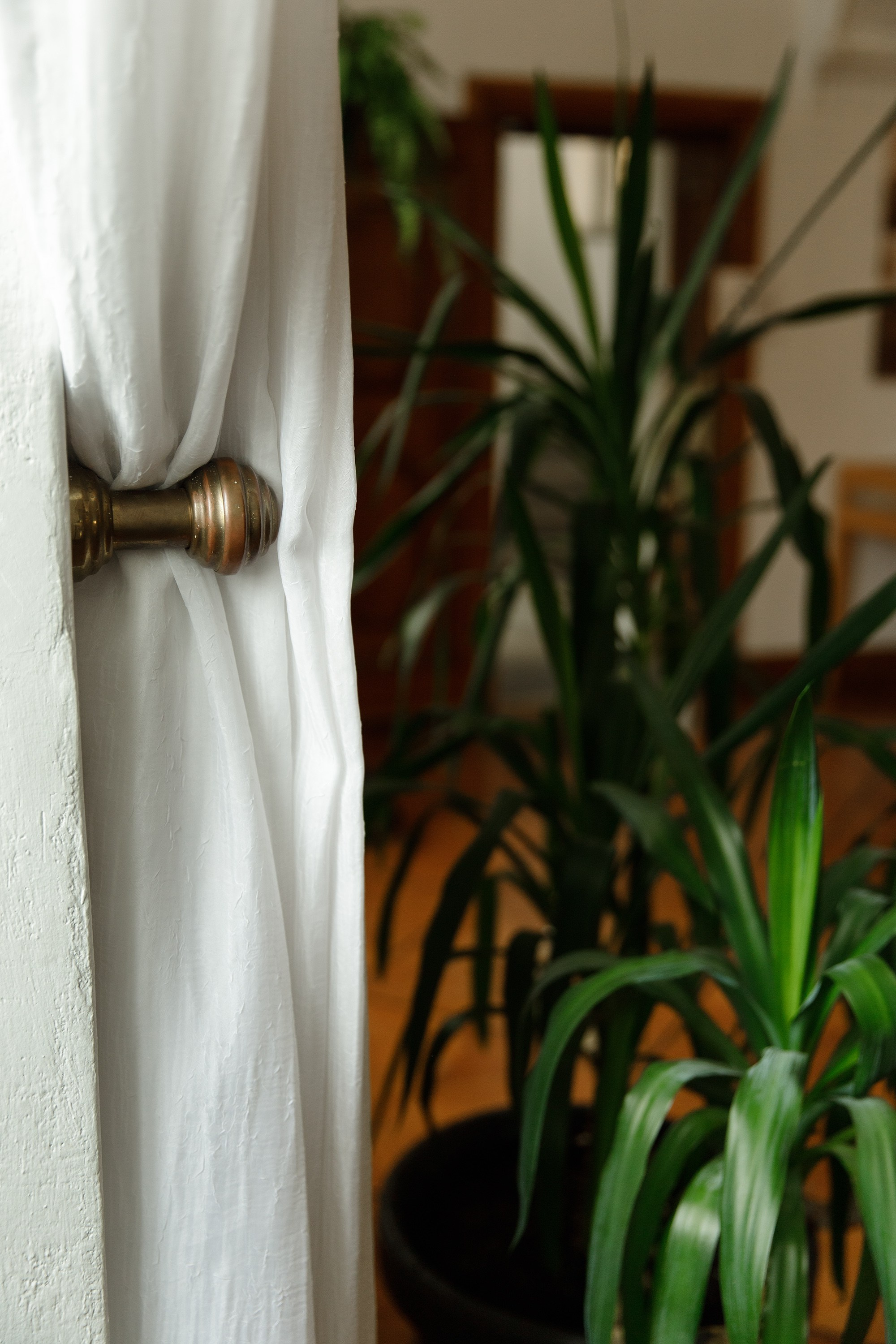 Oleśnica castle. Kaja | fotograf psów we Wrocławiu