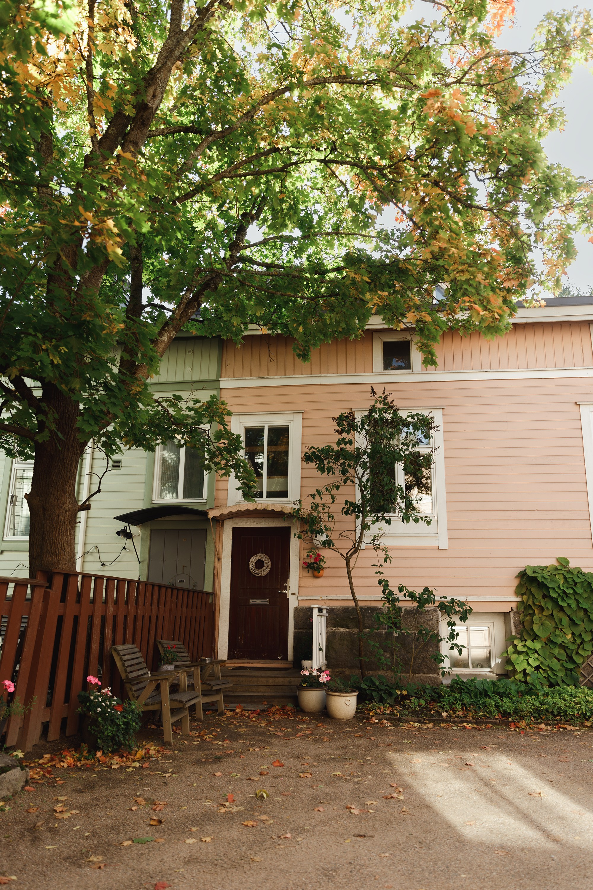 Turku. Kaja | fotograf psów we Wrocławiu