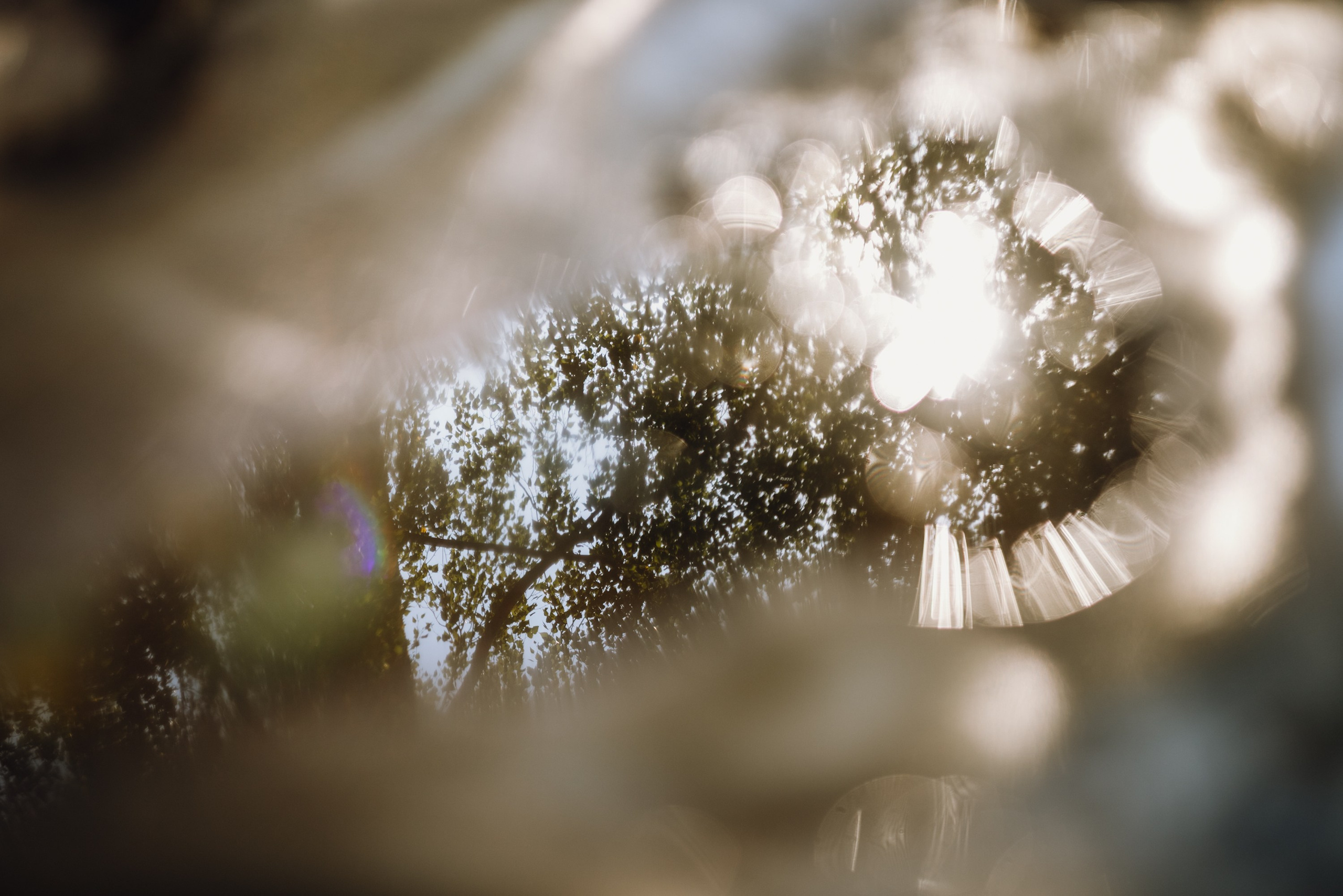 Grandmother's home in Brest. Kaja | fotograf we Wrocławiu | ludzie i psy