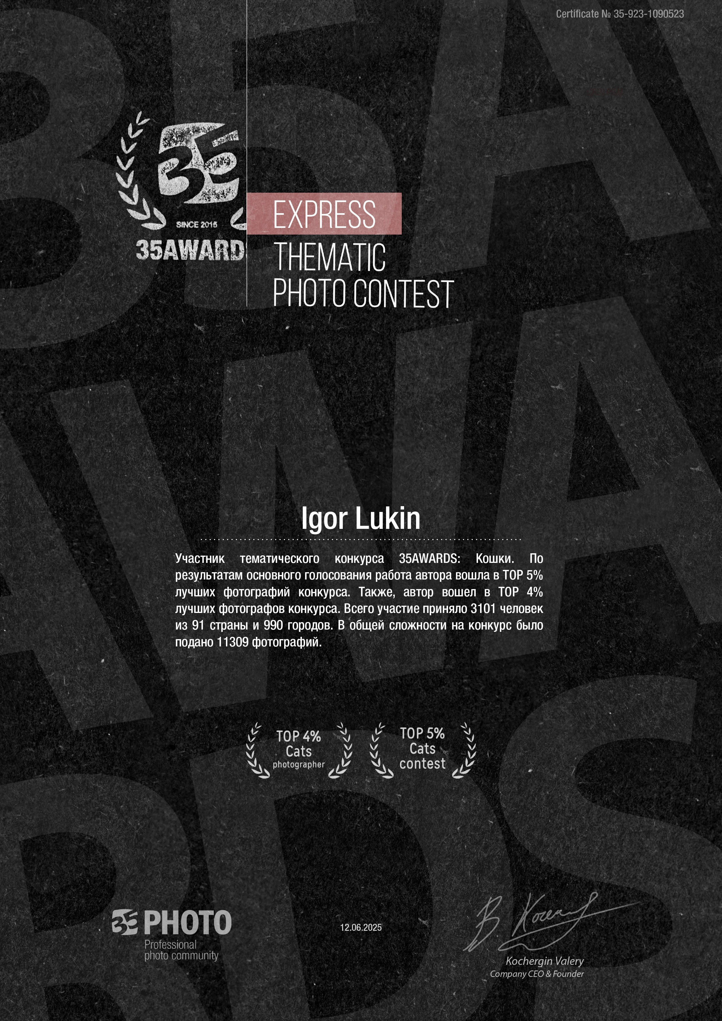 КОШКИ. LUKIN IGOR Photography