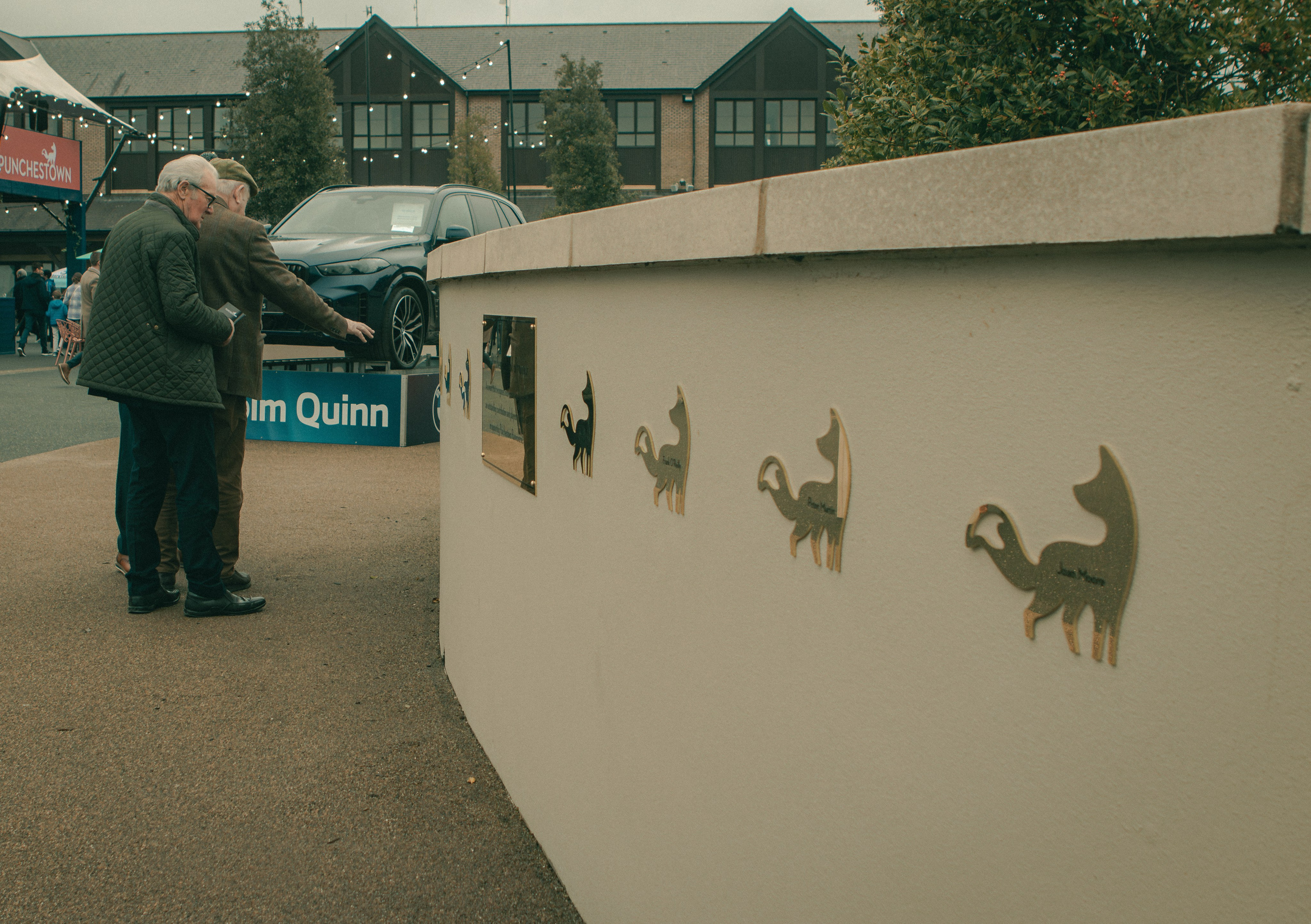 Punchestown. Photographer Co Dublin, Balbriggan — Agata Maliseva