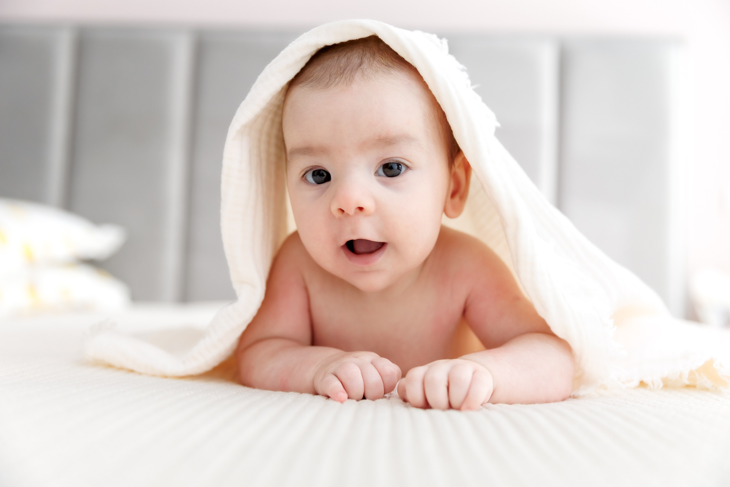 Vladimir Mihai - Botez București. Fotograf Profesionist Pitesti-Bucuresti| Mircea Seinea