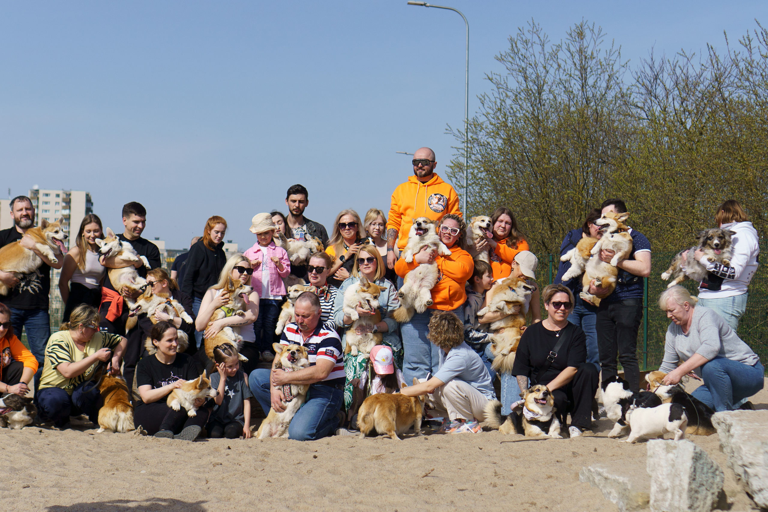 Corgi party, 18 apr. 2025. Kat Laisaar — Pet photographer in Tallinn