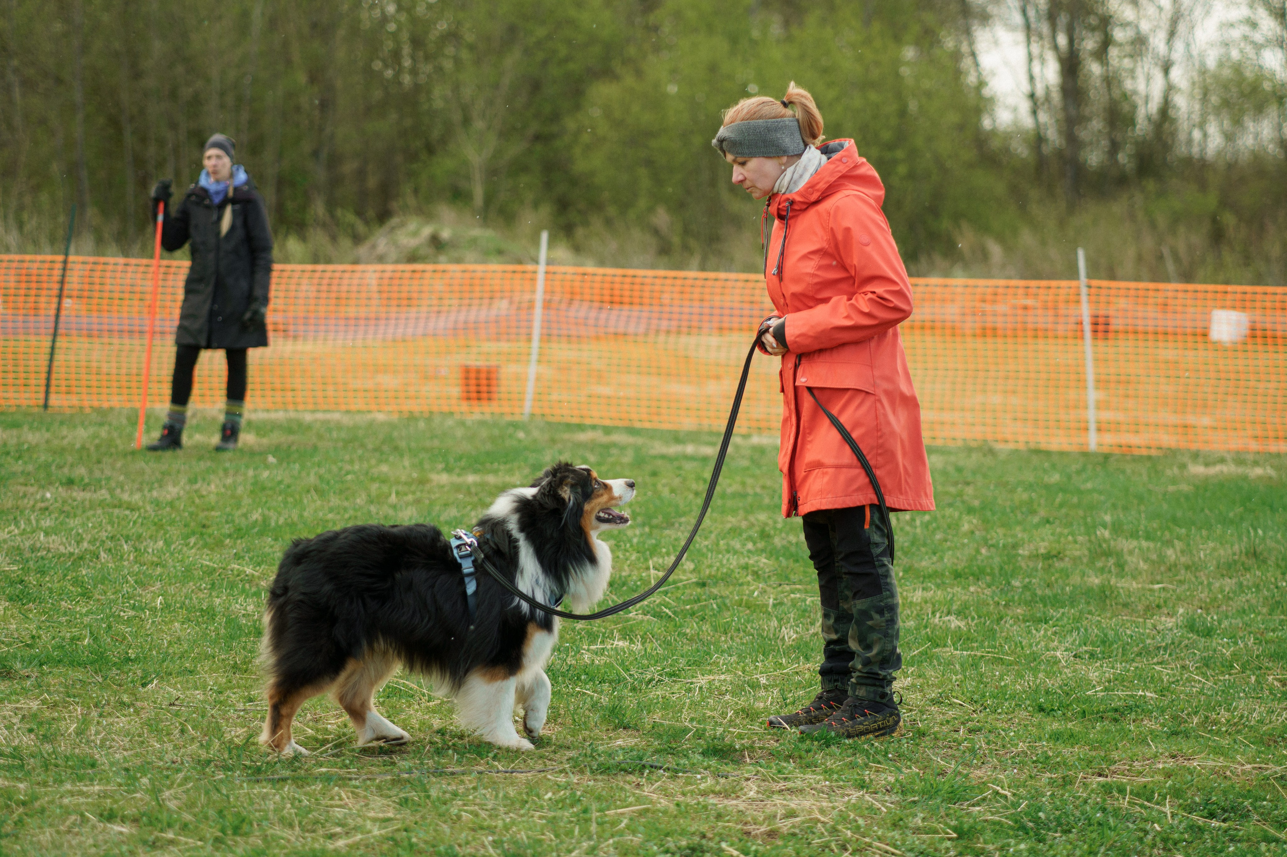 Herding Days, 26 apr. 2025. Kat Laisaar — Pet photographer in Tallinn