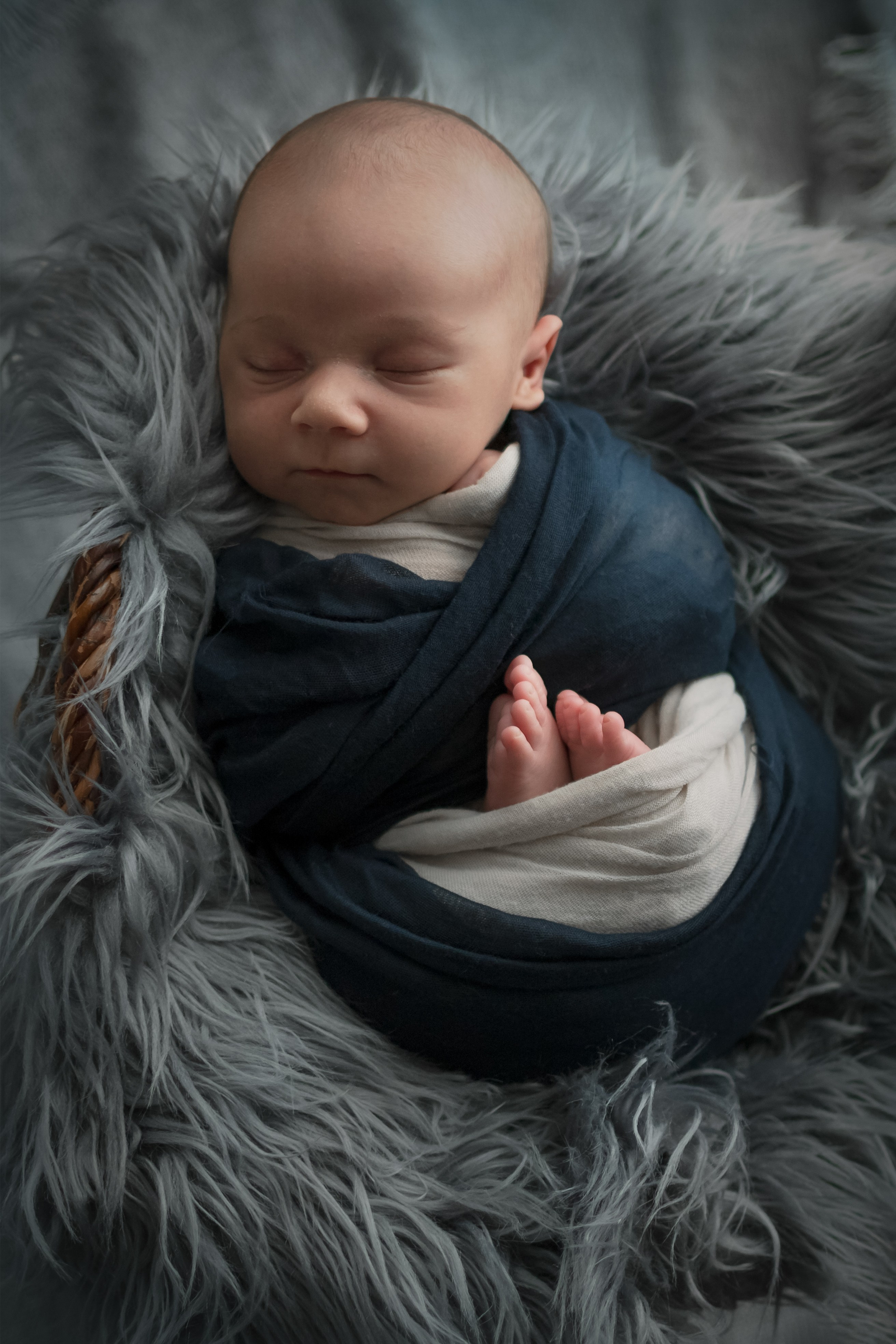 Neugeborene. Lena Horch