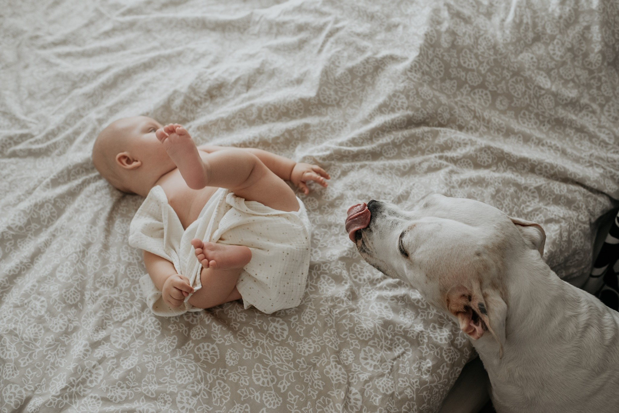 Chrzest Św. Jasia. Dominika Strachacka Fotografia | Fotograf ślubny i rodzinny Opole Lubelskie Lublin