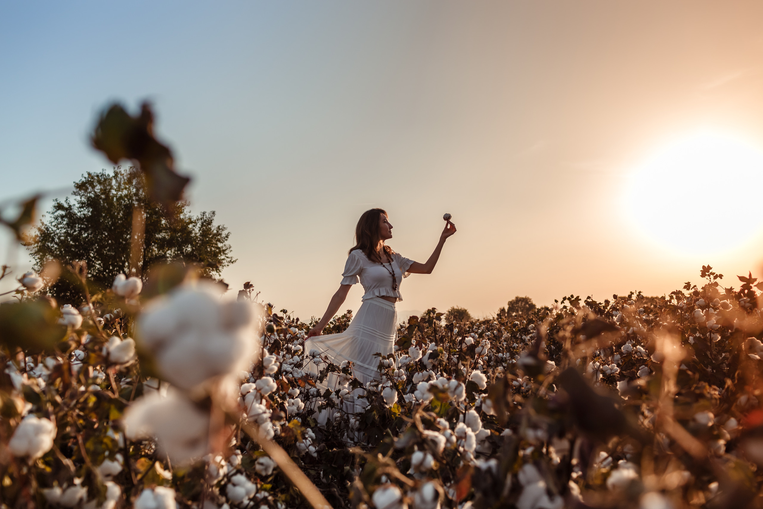 Pamuk tarlasında kişisel fotoğraf çekimi