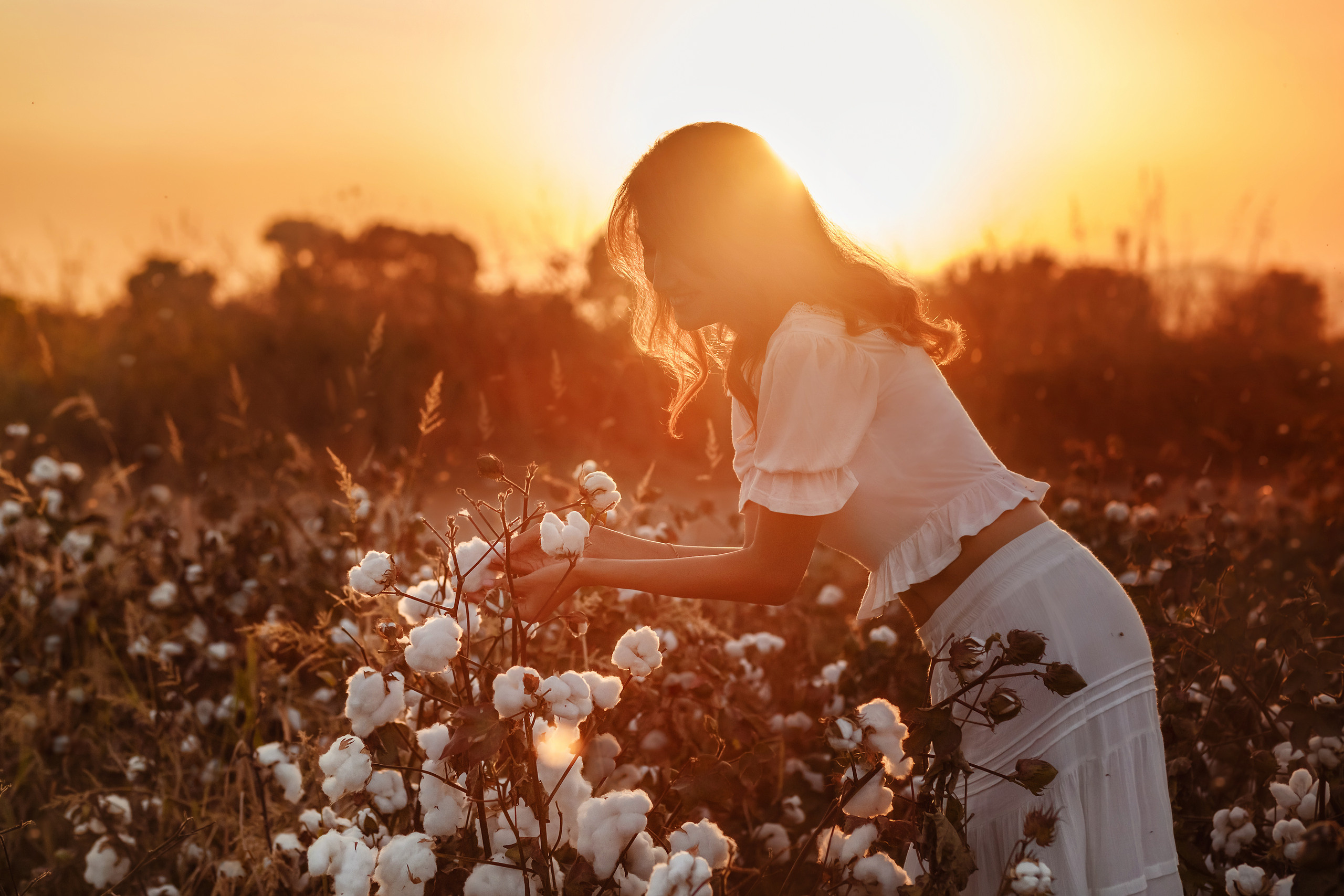 Pamuk tarlasında kişisel fotoğraf çekimi