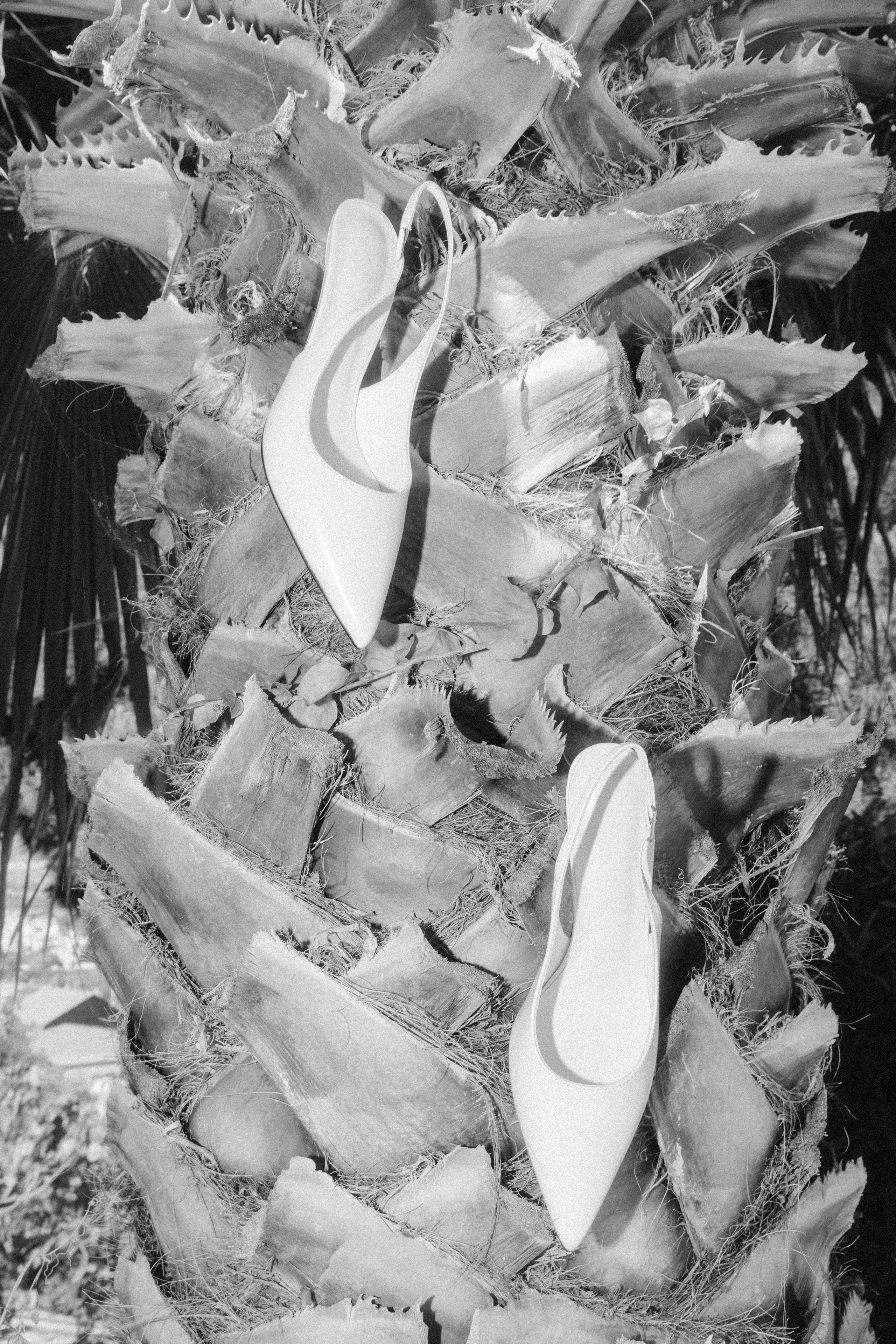 Paola fotógrafo / videografo de bodas en Barcelona