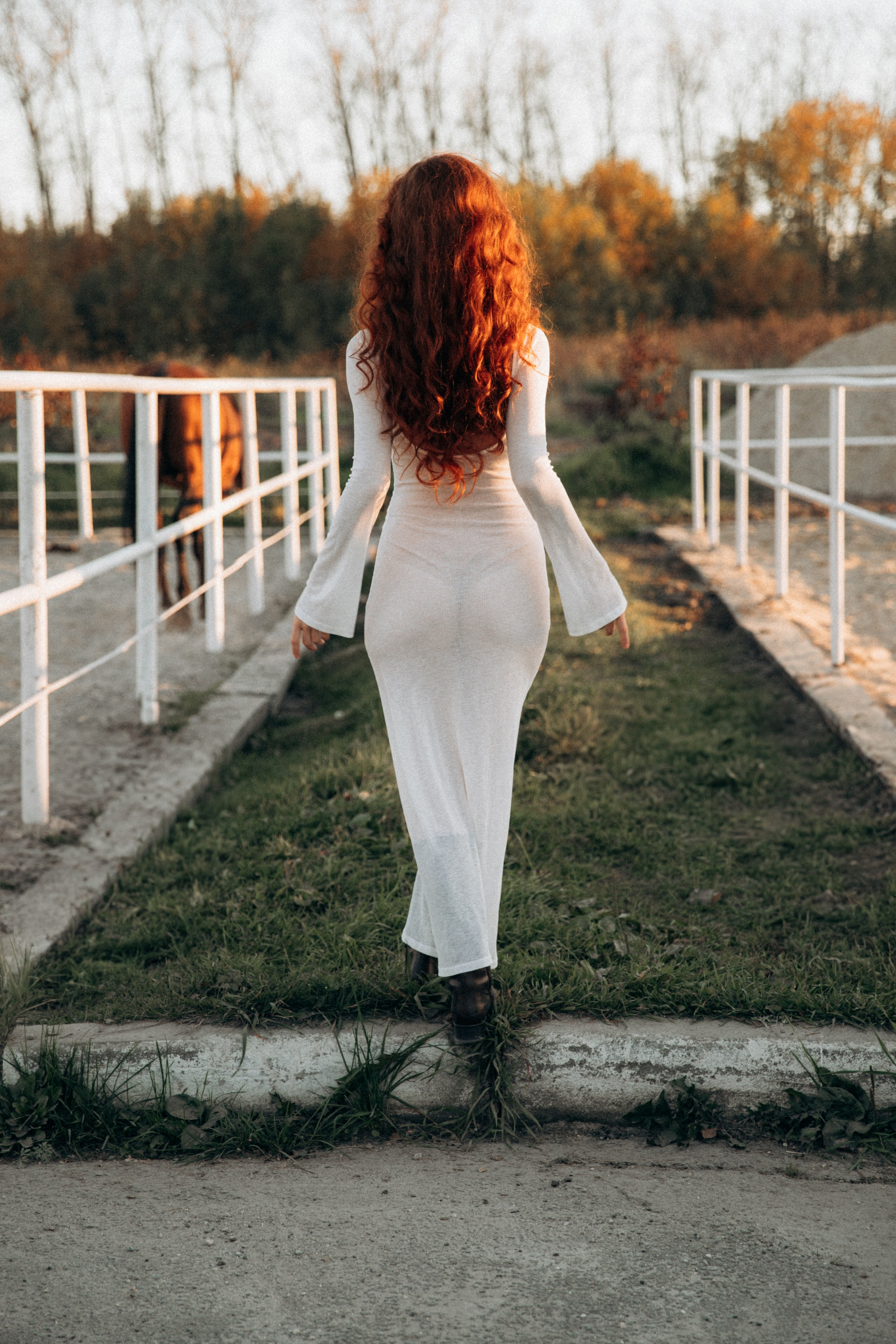 Horse & Rider Photoshoots in Boston & New England