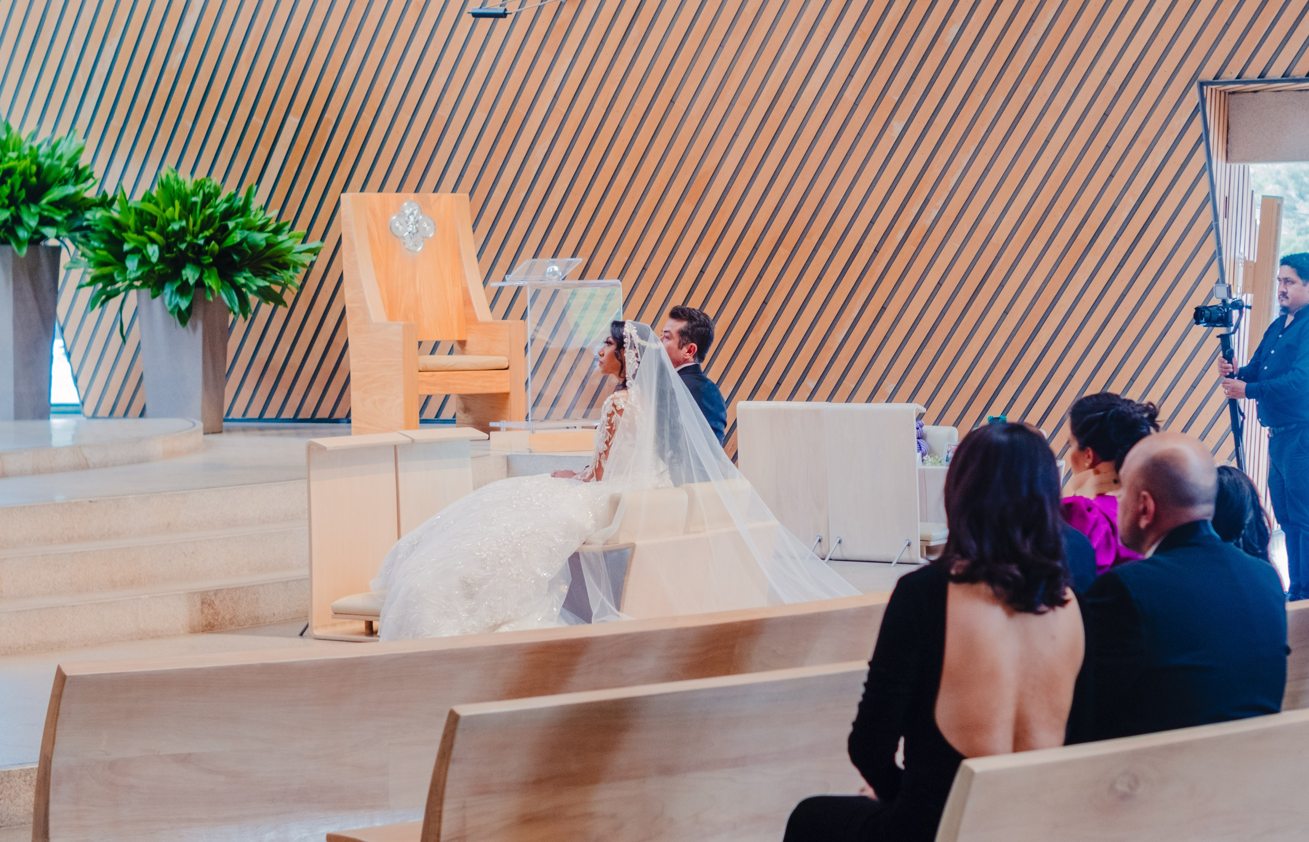 Dana & Fer / Cdmx. Wedding and family photographer in Mexico City