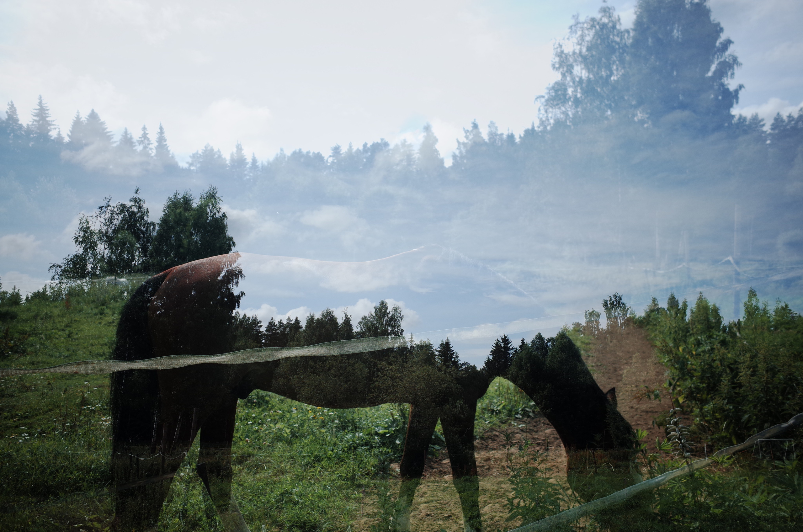 Виктория Дини. Арт-фотография