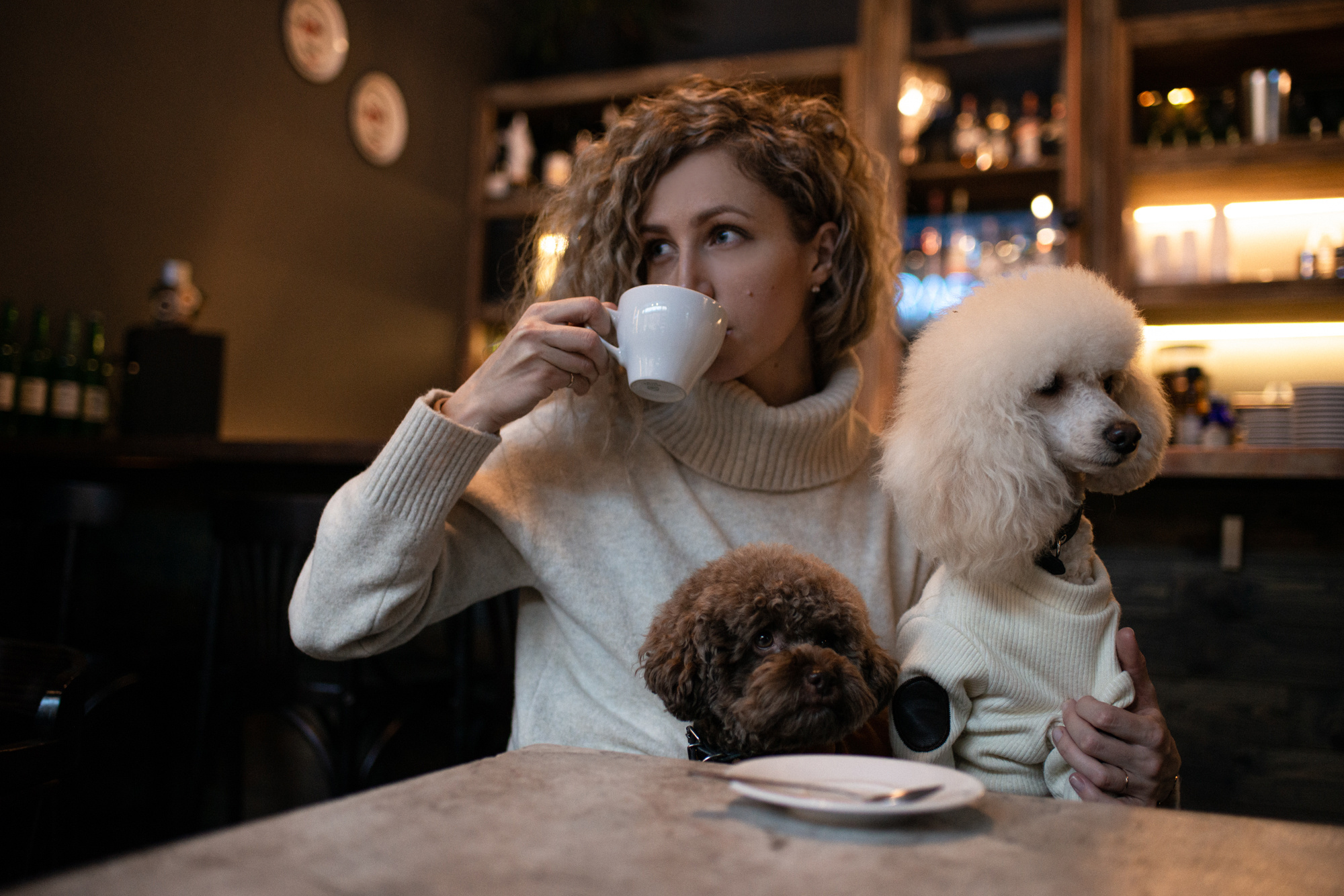 Outdoor Pet Photography by Tanya Asfir, Belgrade. Tanya Asfir — Pet & Animal Photographer | Belgrade, Serbia