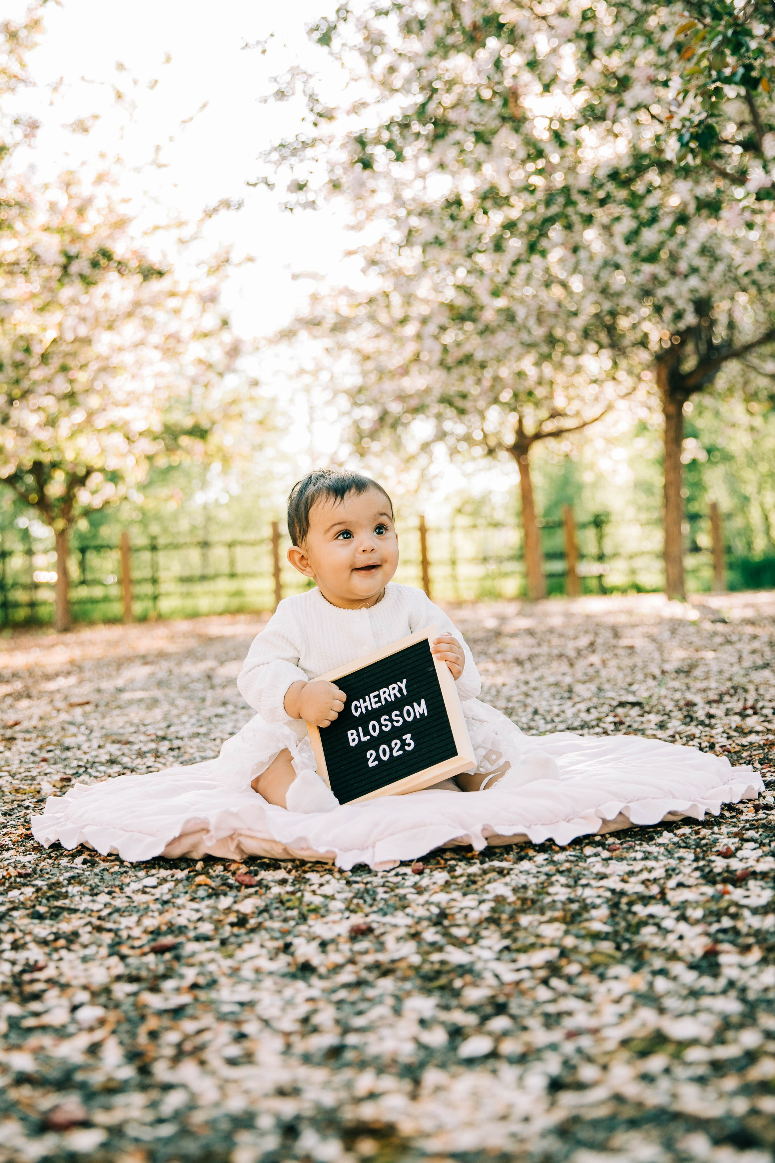Cherry Blossom — Nabeel Family. Ching Li Photography