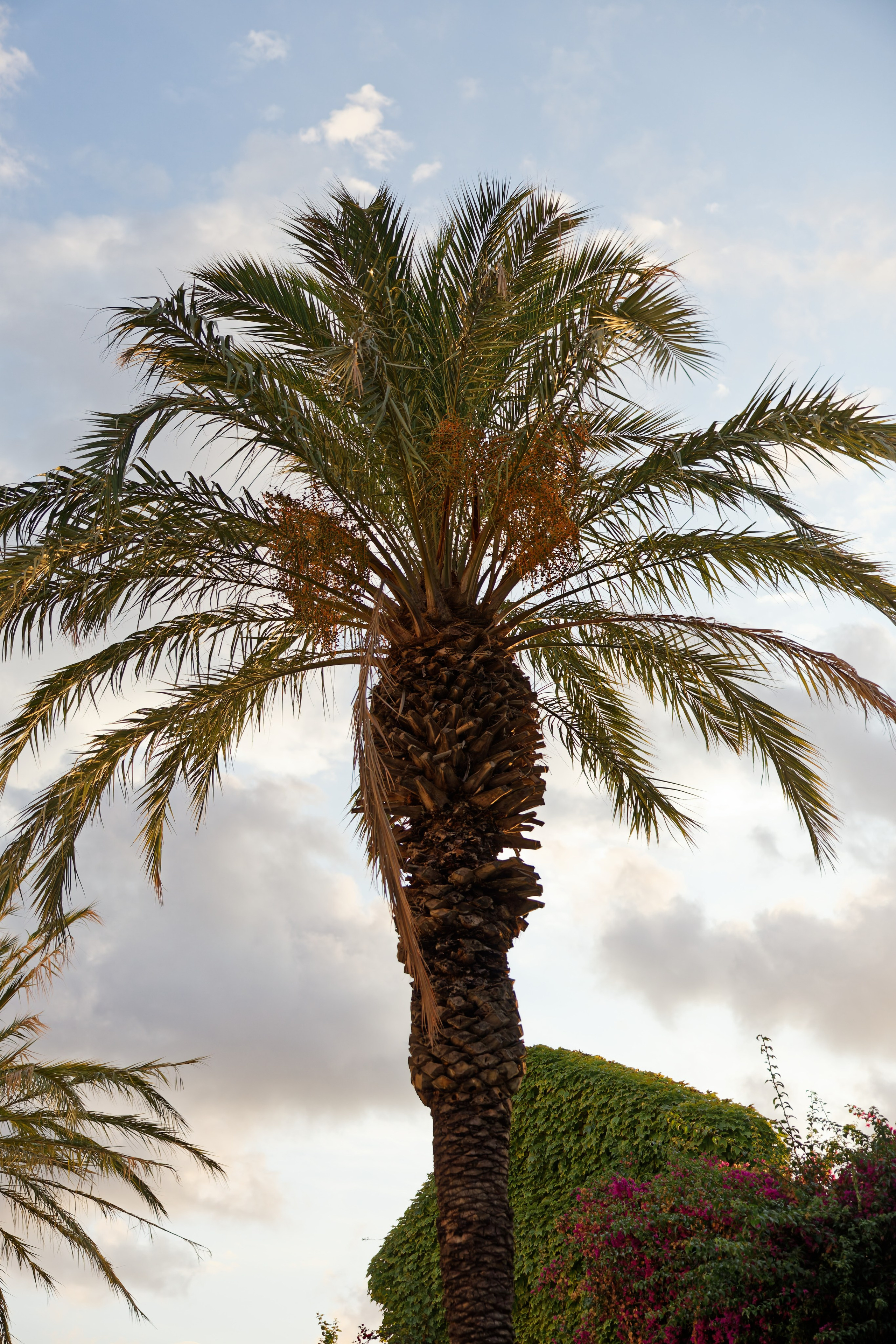 Welcome dinner of Gracie & Joe at Gran Villa Rosa