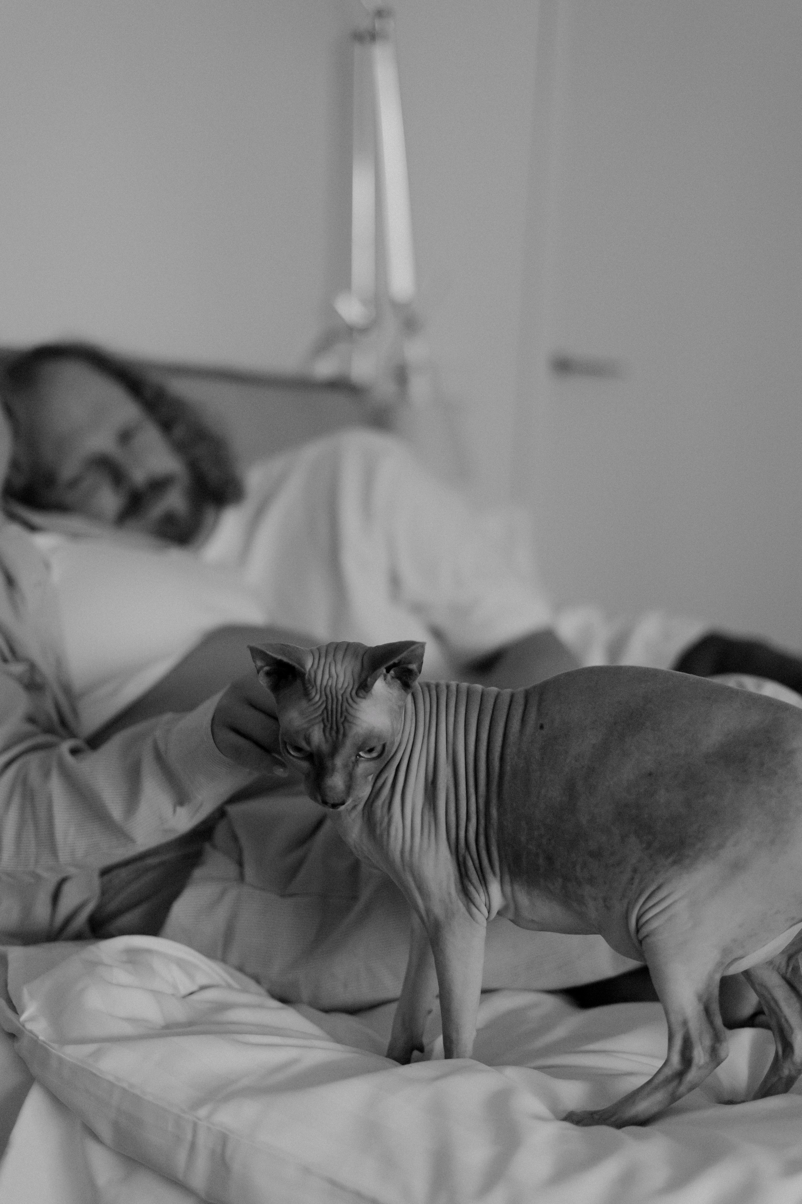 Marija ir Eimantas. Fotografė Agnė Navickaitė