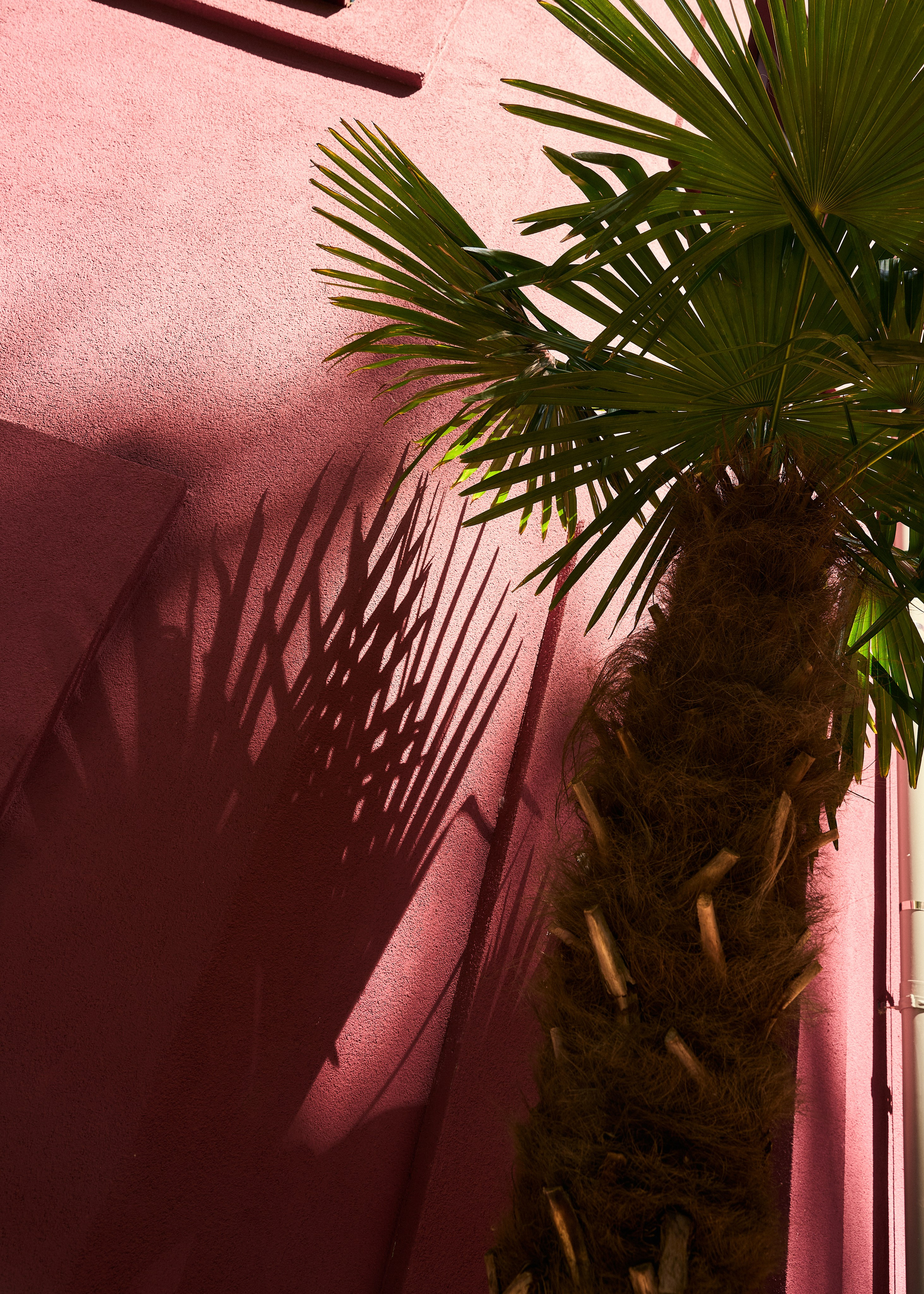 The Companion hotel | Vienna. Creative photographer for your business
