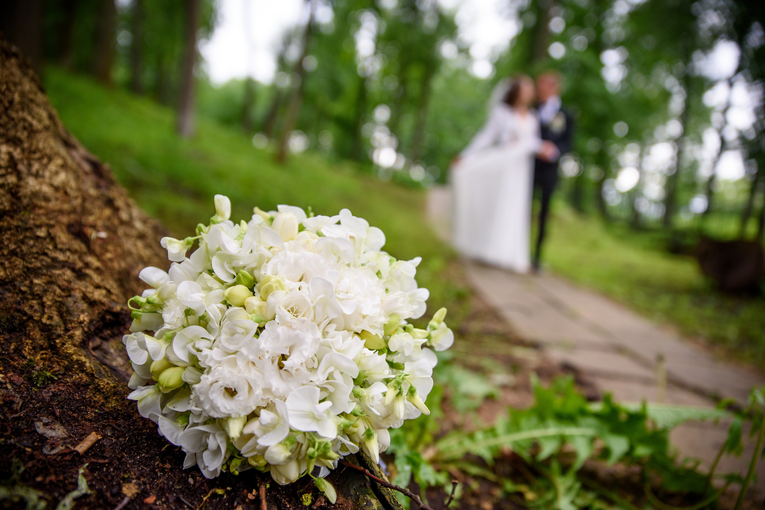 Signe & Edgars. Ritvars Pujats Emotion Photographer