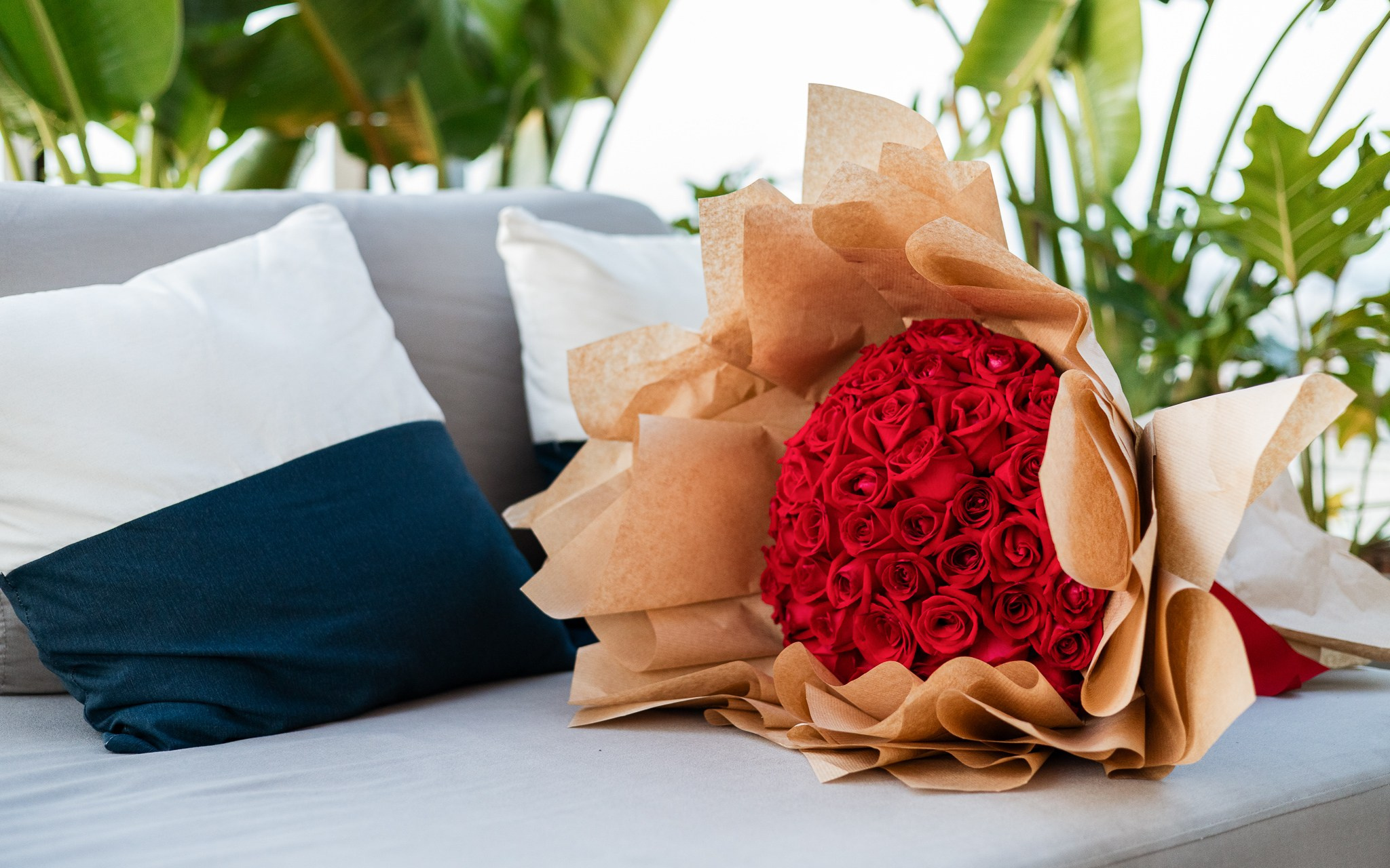 Neto & Paolla. Mauro Bernardo Fotógrafo | Fotografia de Gestante, Família, Partos e Retratos em São Miguel dos Campos e região