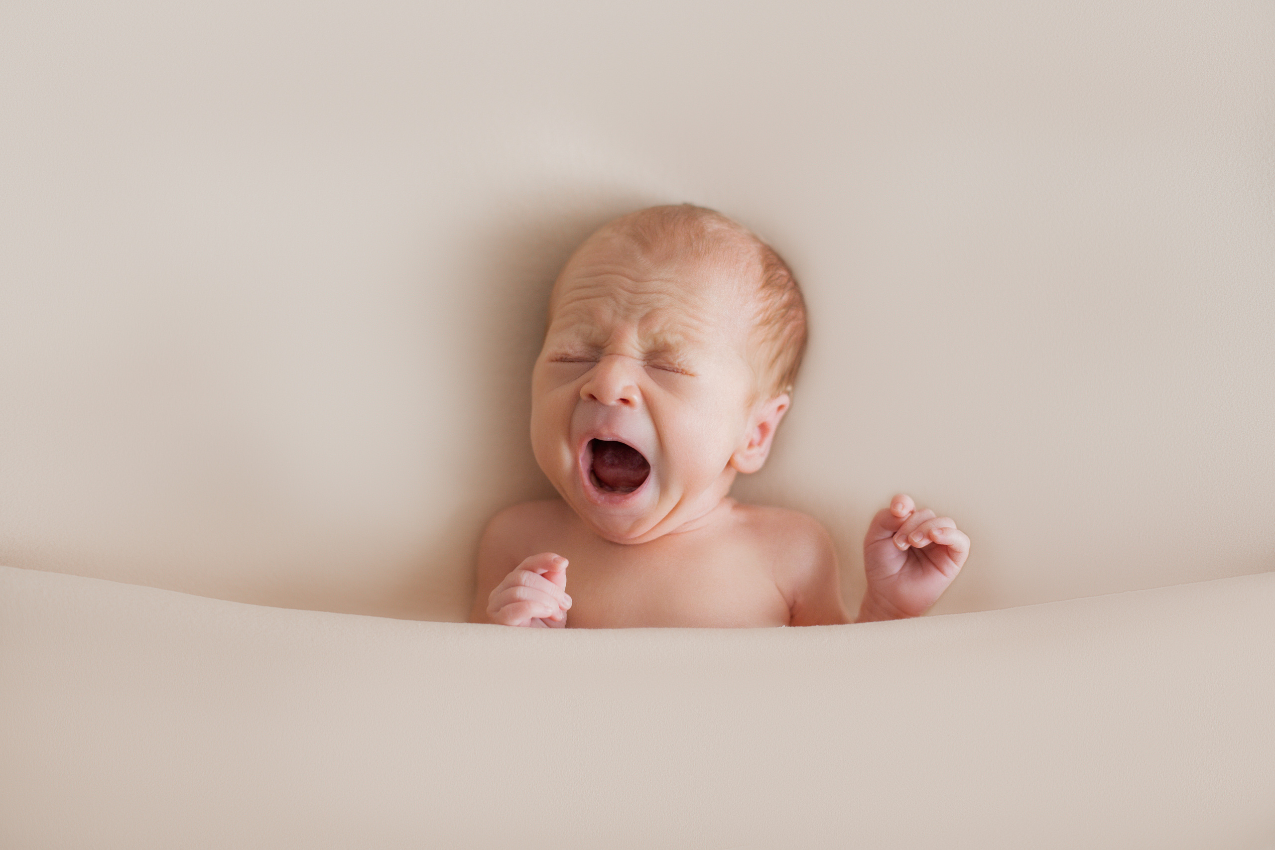 NEWBORN. Valokuvaaja Itä-Uudellamaalla Viktoria photography