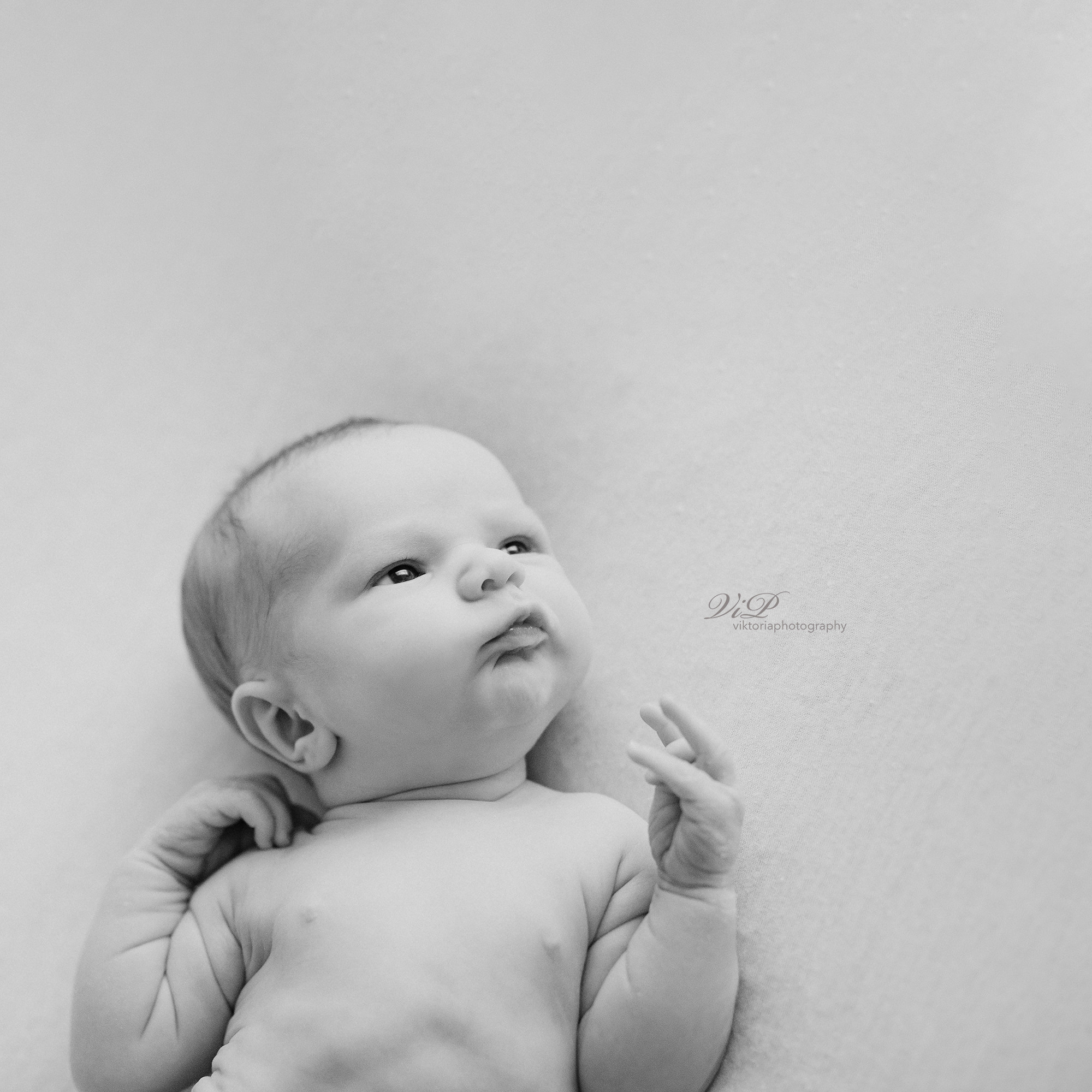 NEWBORN. Valokuvaaja Itä-Uudellamaalla Viktoria photography