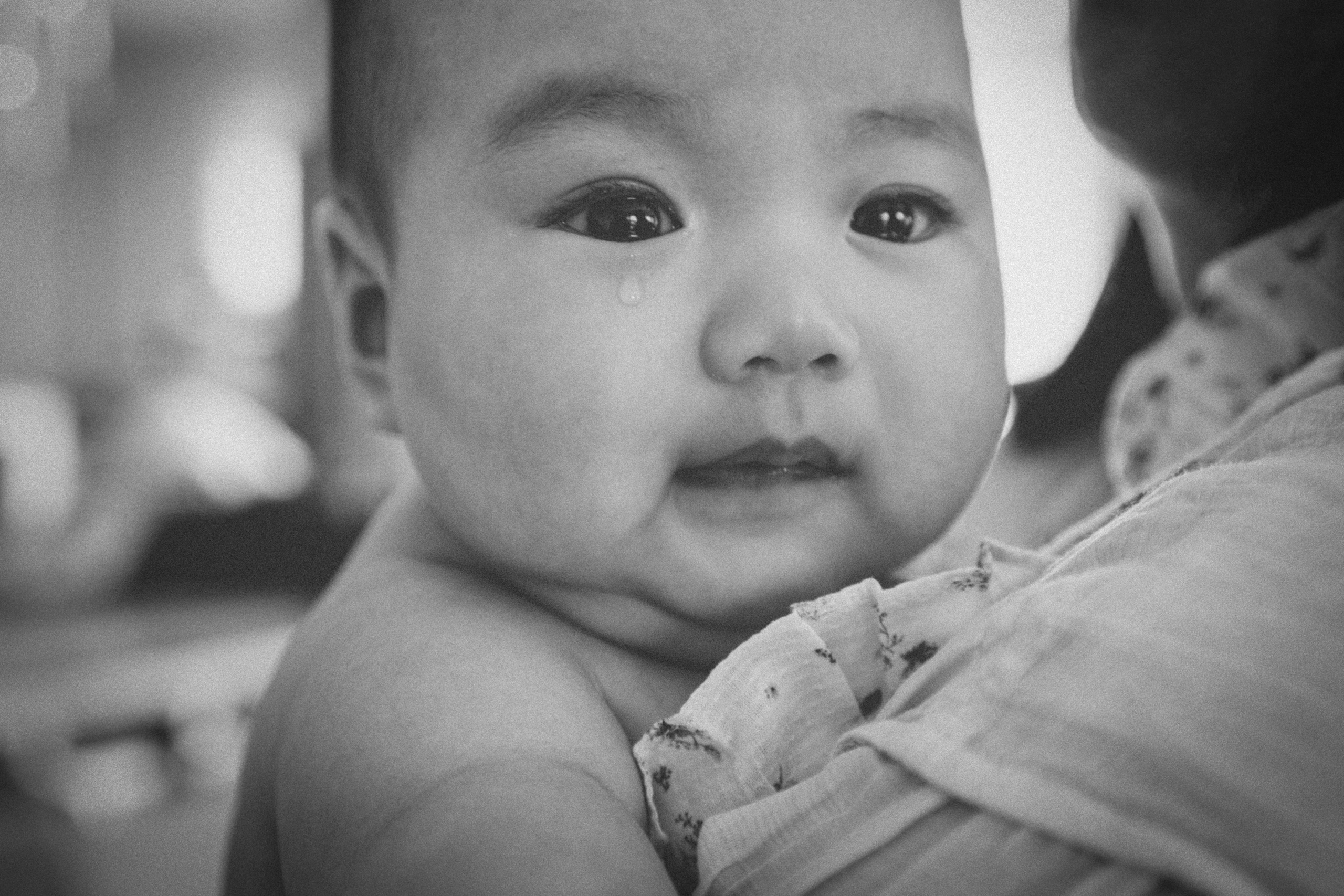 Rin & Ci. HABIPHOTO MELBOUNE