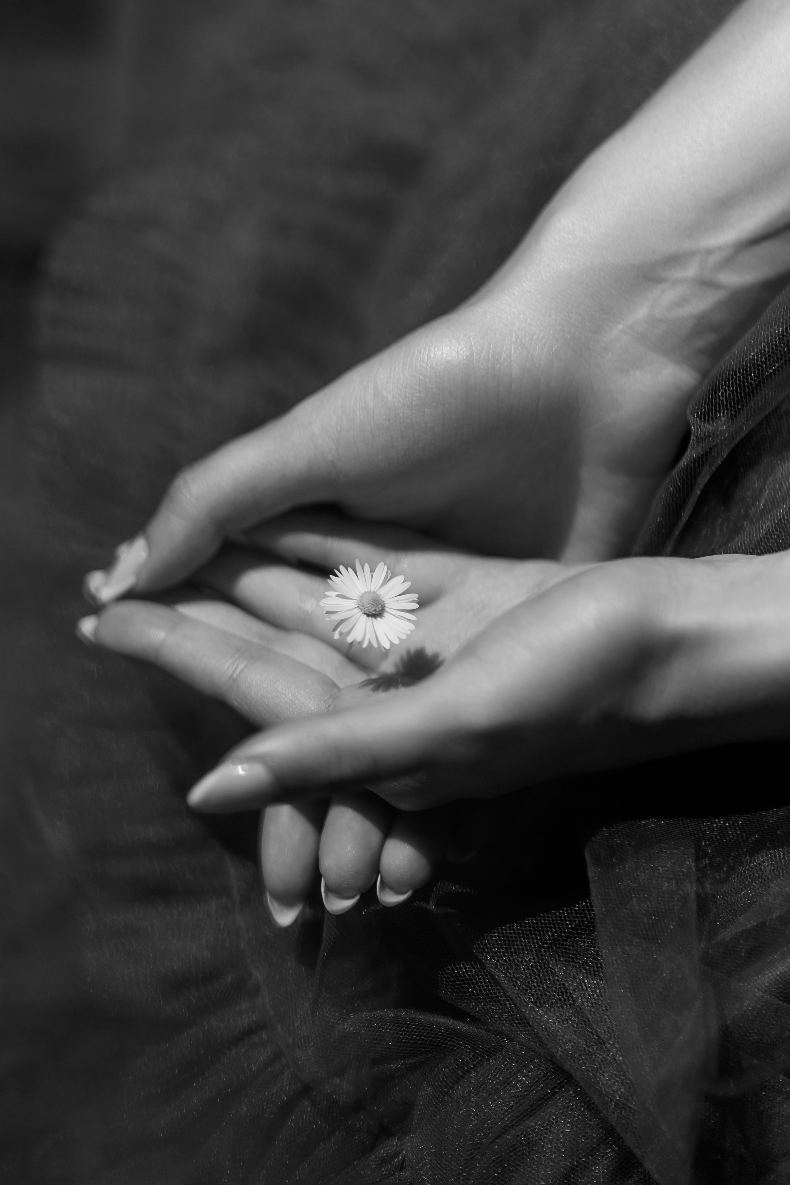 Фотосесия за абитуриенти. Фотограф Ирина Йотова