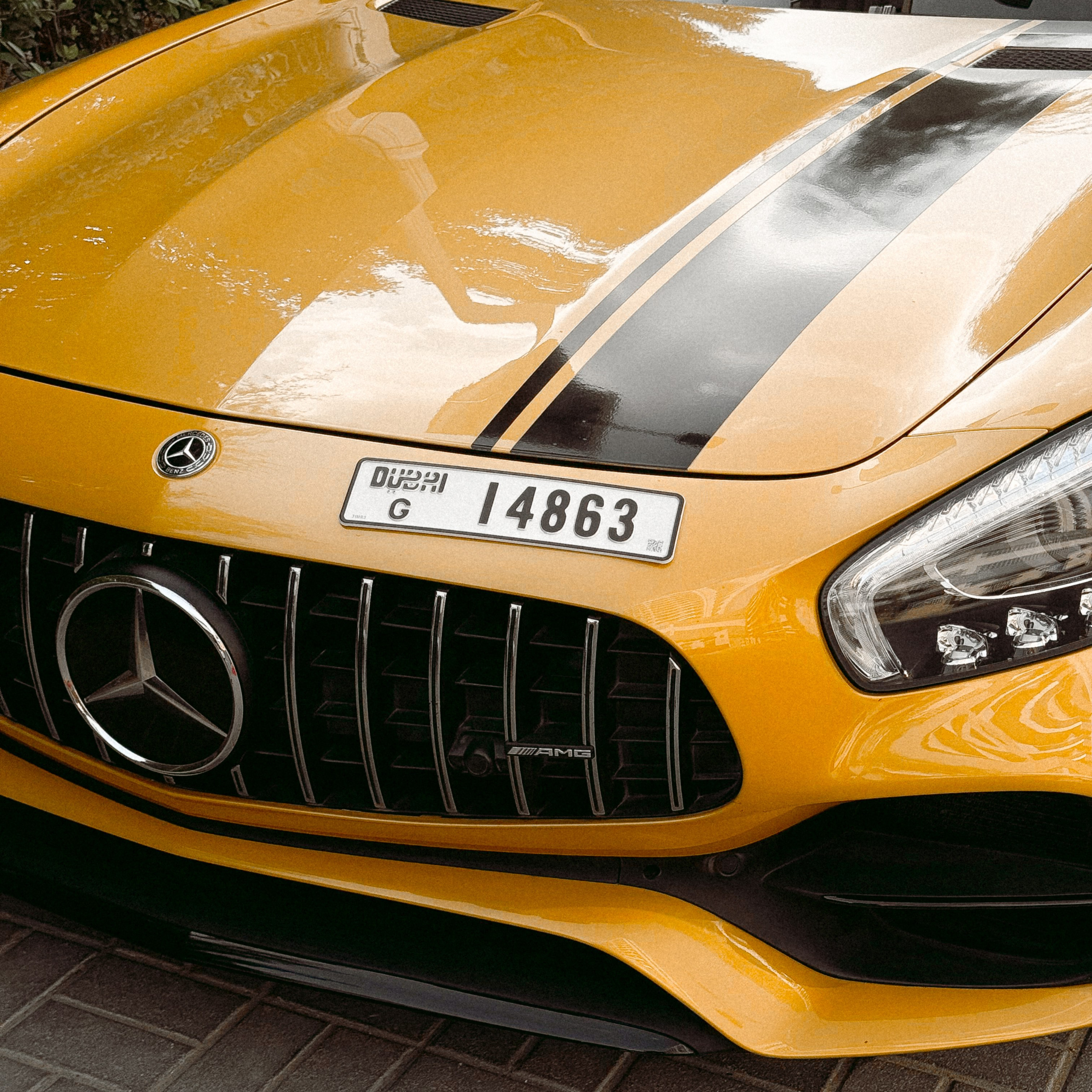 Auto. Julia Erina photographer Dubai