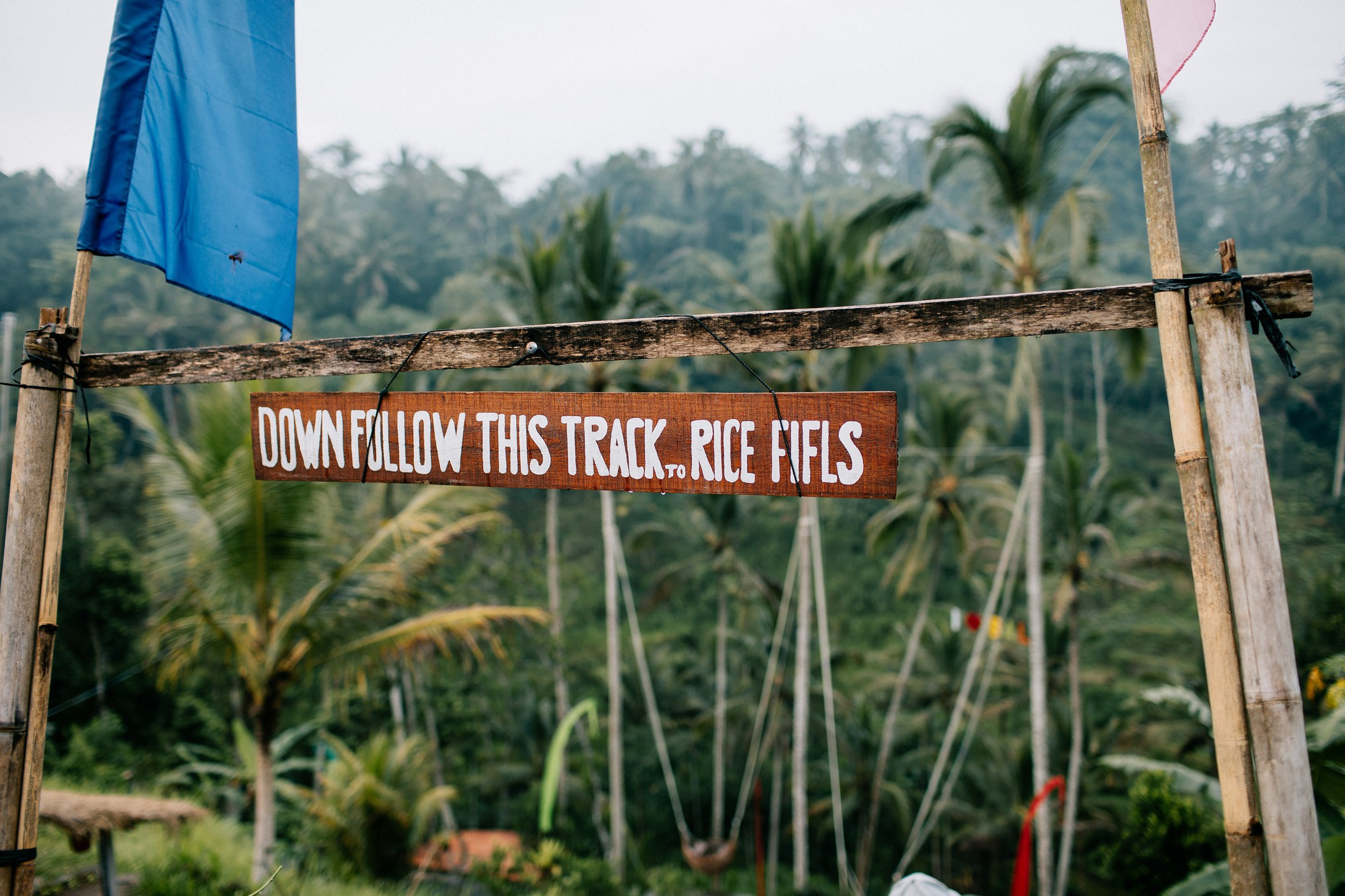 Rice terraces + secret temple. Getitfeel — Aesthetic Photography and Videography