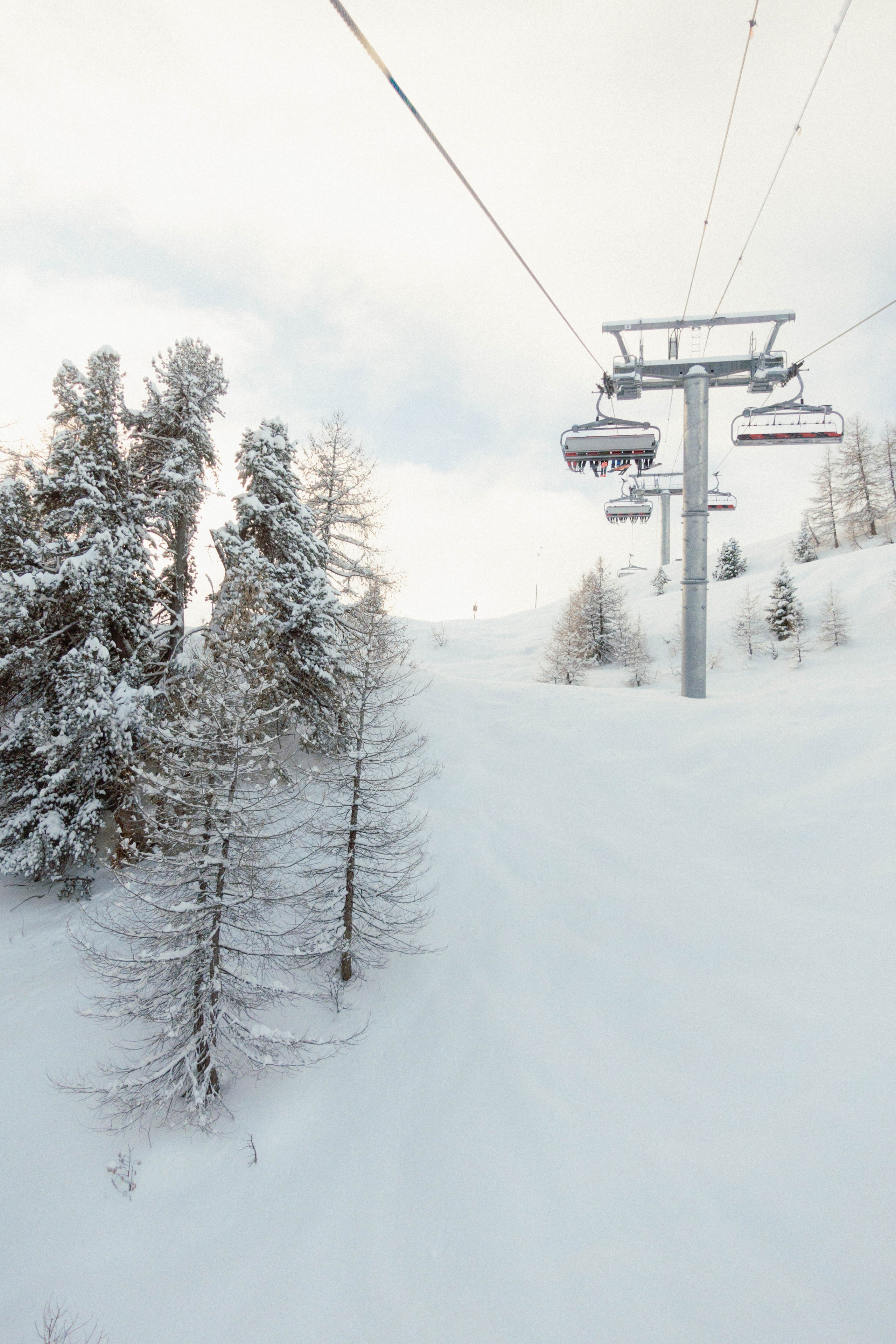 Ski. Weeding photographer / event / portrait