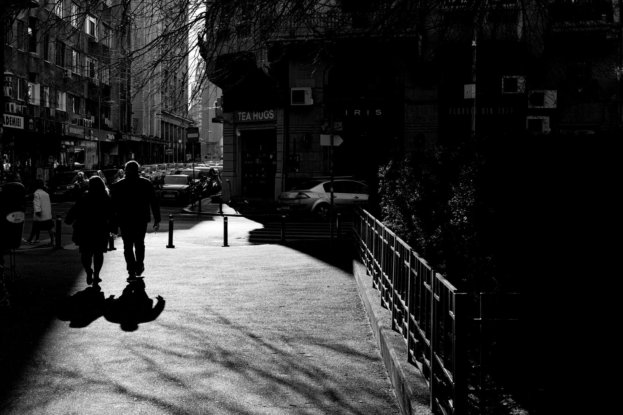 Monochrome. A Creative Insight | Catalin Nastase