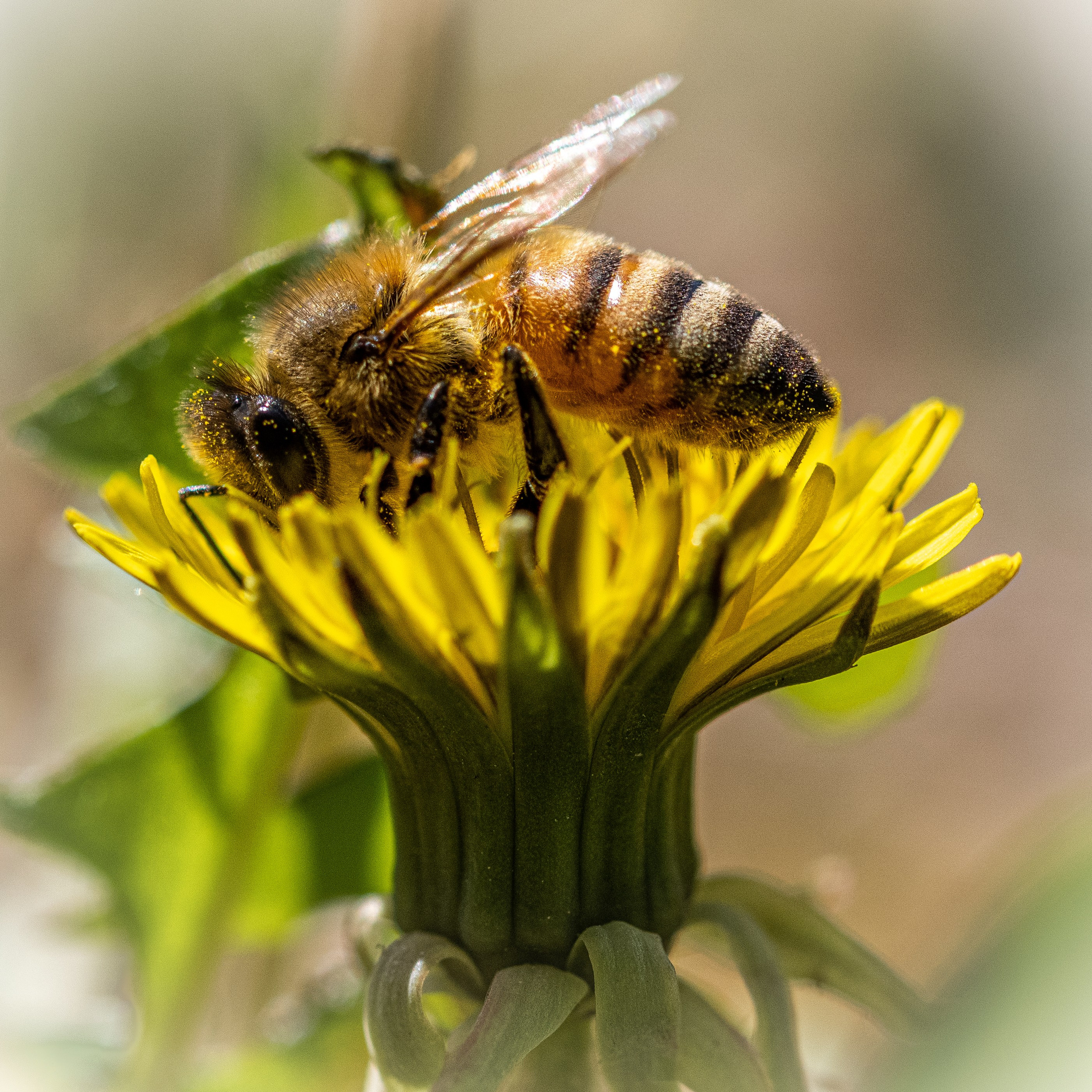 “Gianmaria Coscia fotografo per passione”