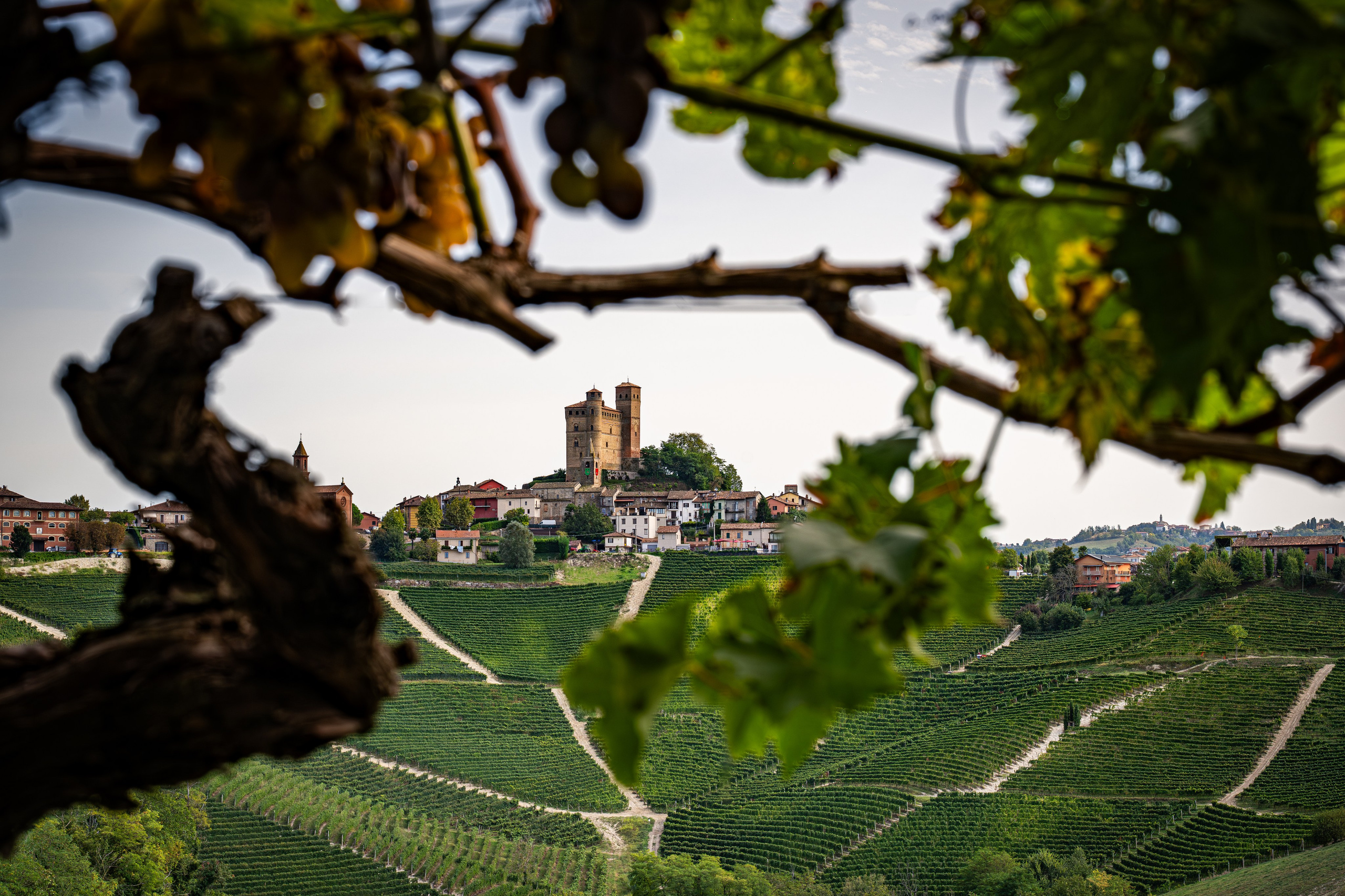 Cantine Boasso Serralunga. “Gianmaria Coscia fotografo per passione”