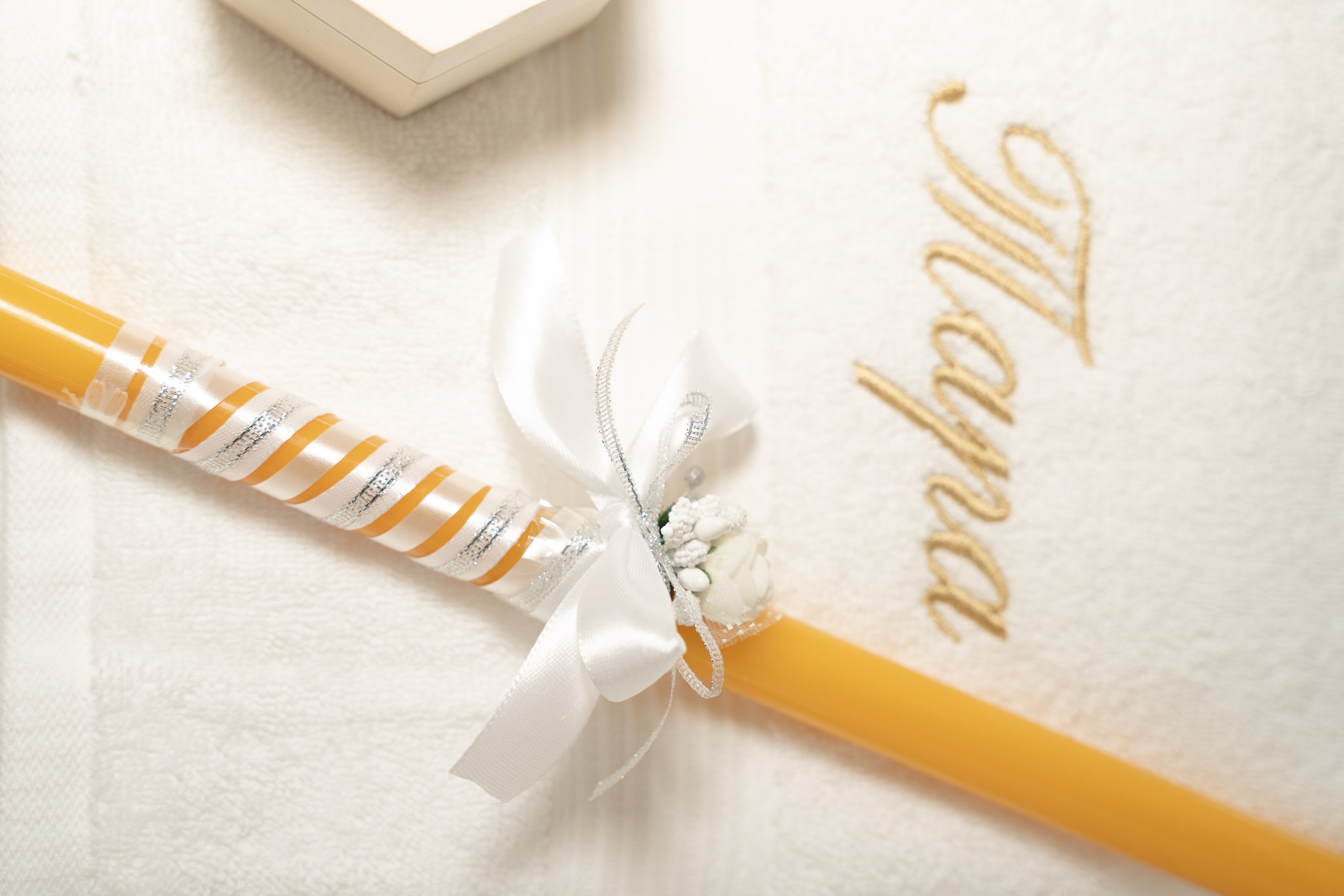 Event. Profesionalna Fotografija Beograd — Staša Komatina