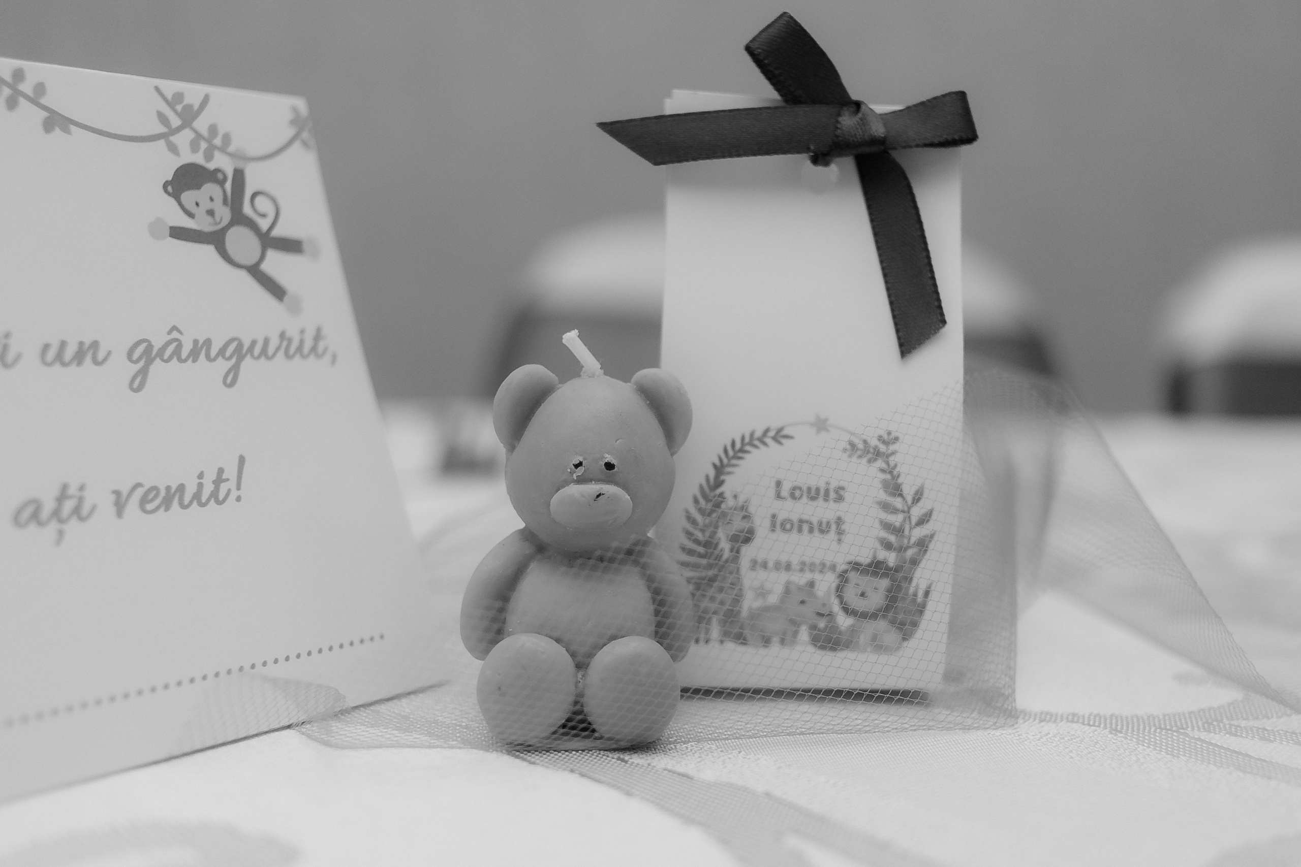 Louis Ionut. Fotograf si videograf — evenimente si studio