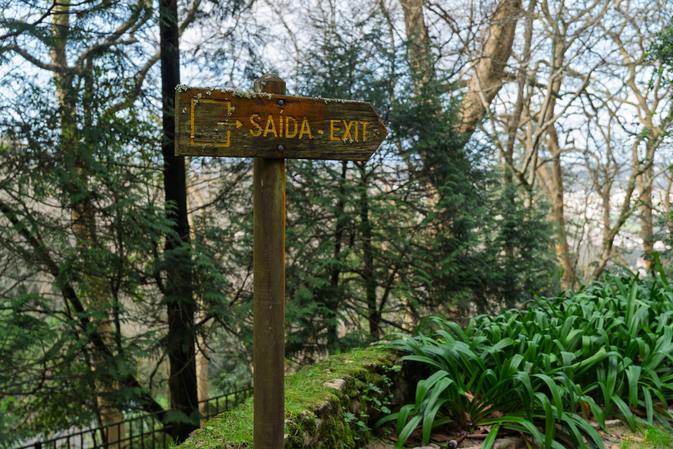 Lisabona 2025. Fotografiideplacere.net