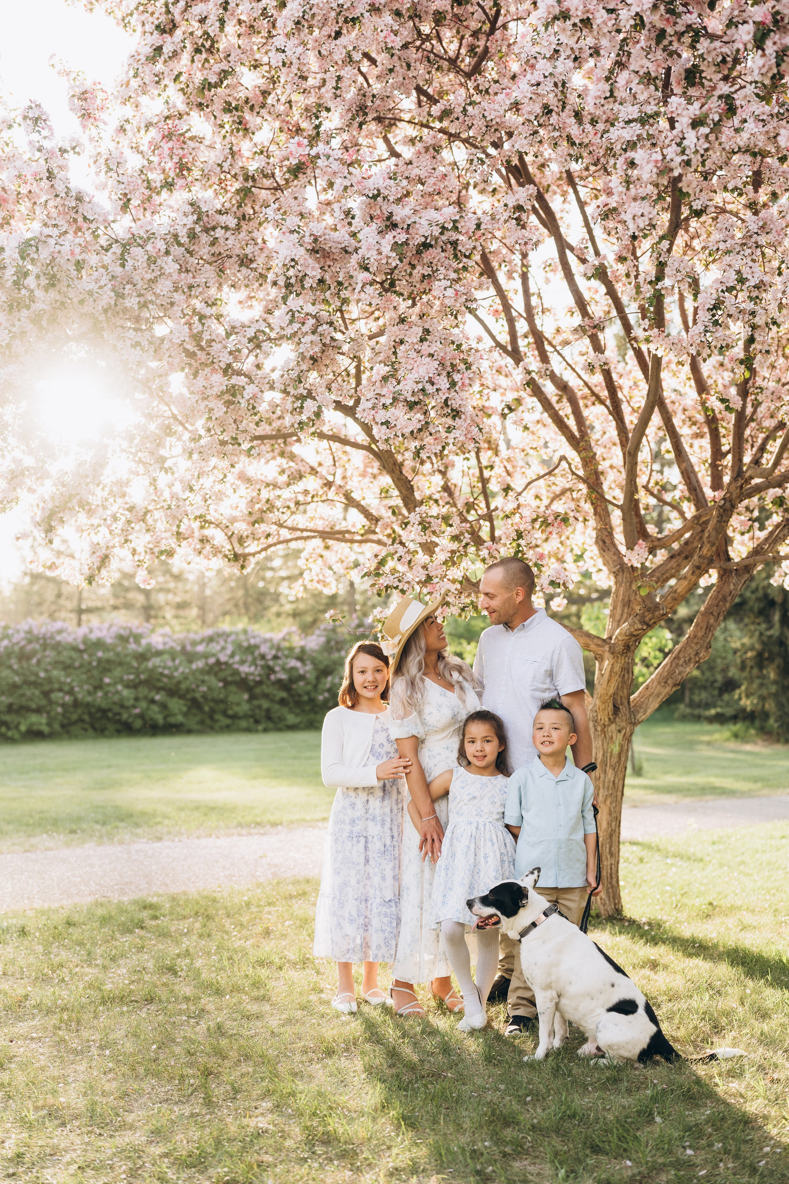 Steph & fam. Calgary Wedding & Lifestyle Photographer — Yevhen Polishchuk